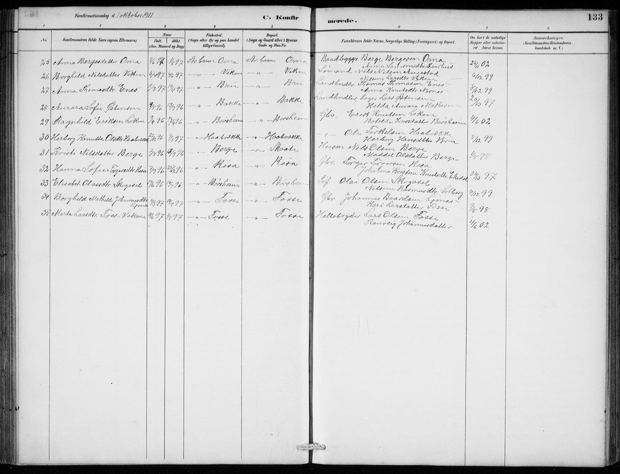 Strandebarm sokneprestembete, AV/SAB-A-78401/H/Hab: Parish register (copy) no. B  1, 1891-1914, p. 133