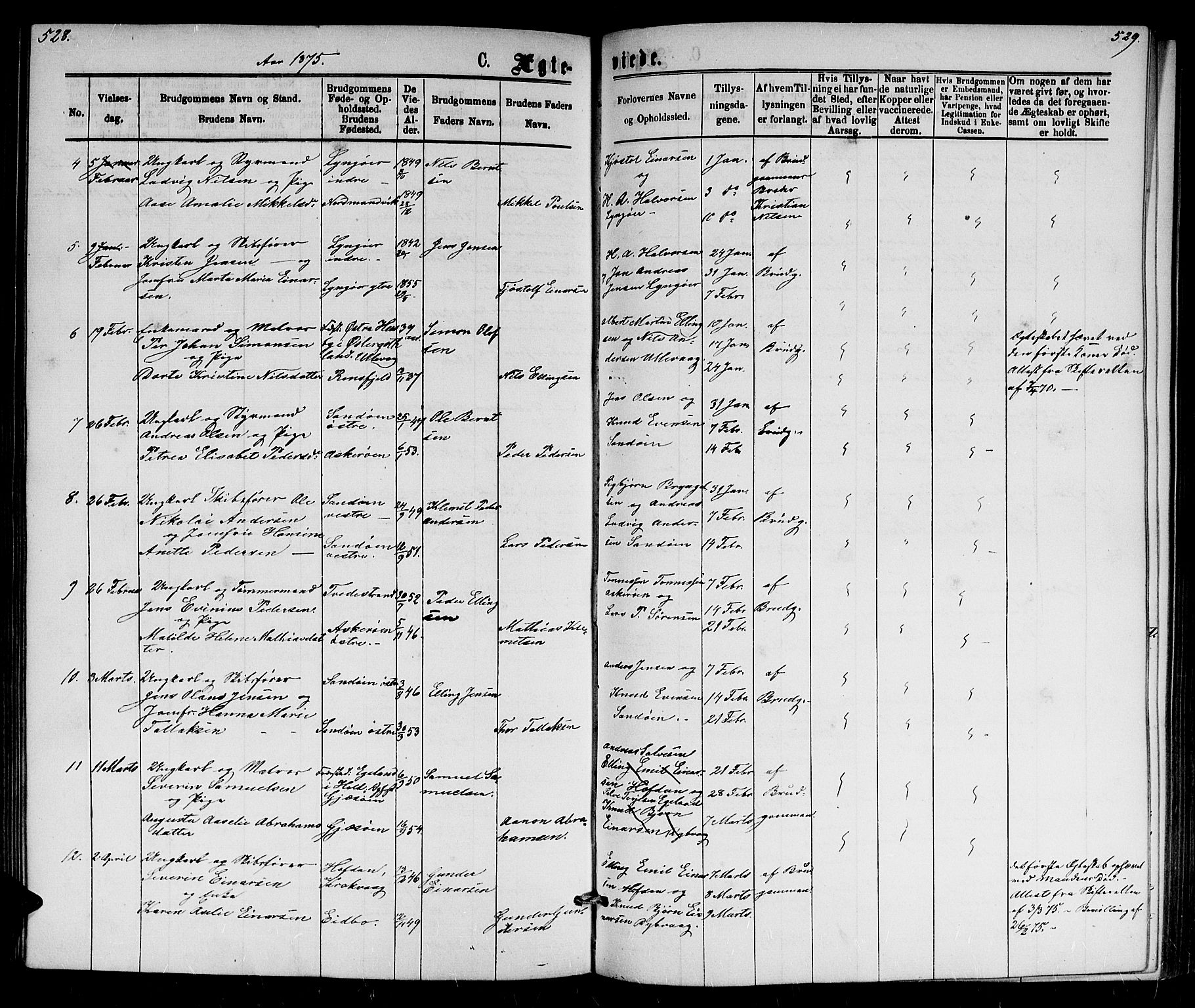 Dypvåg sokneprestkontor, AV/SAK-1111-0007/F/Fb/Fba/L0012: Parish register (copy) no. B 12, 1872-1886, p. 528-529