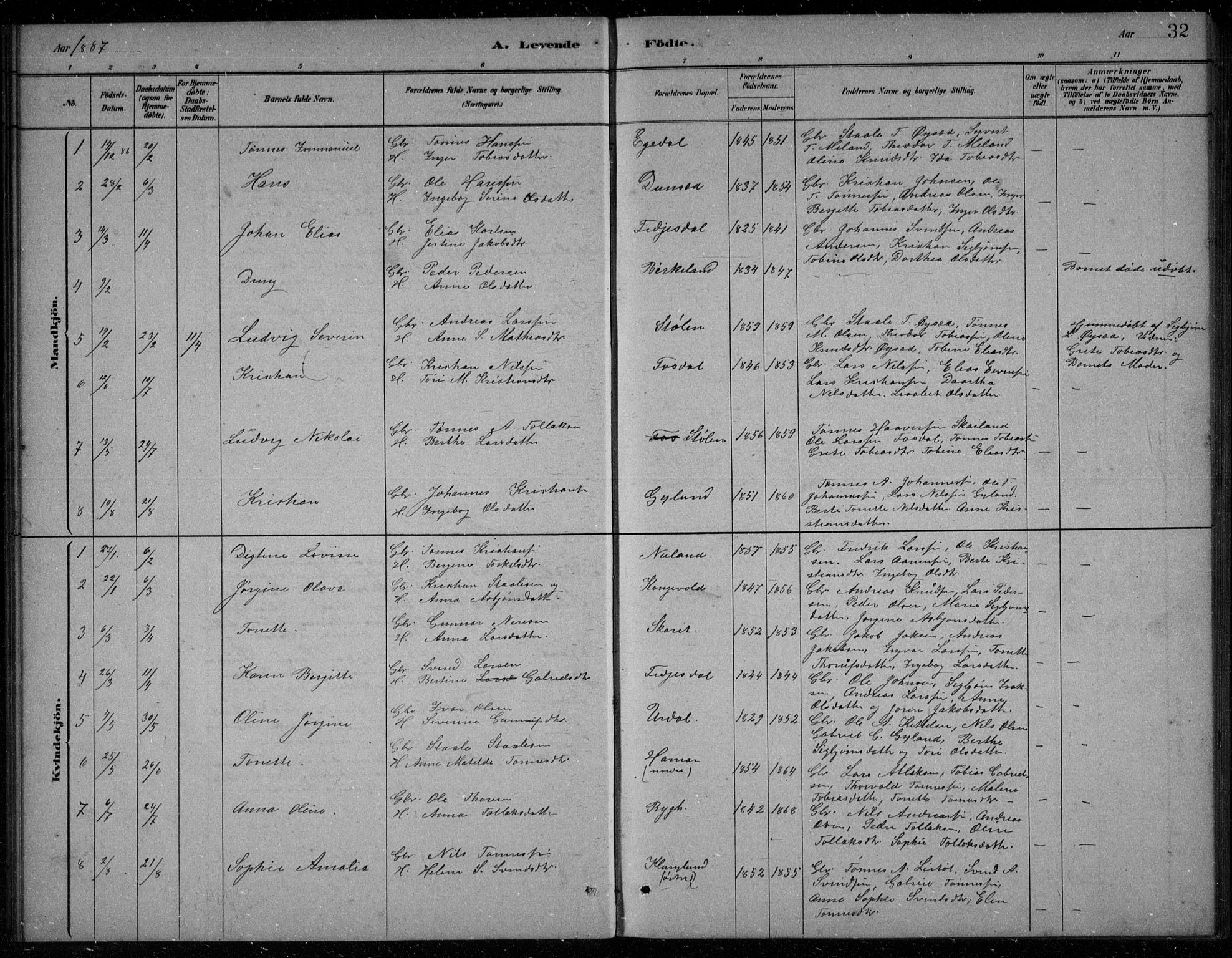 Bakke sokneprestkontor, SAK/1111-0002/F/Fb/Fbb/L0003: Parish register (copy) no. B 3, 1878-1896, p. 32