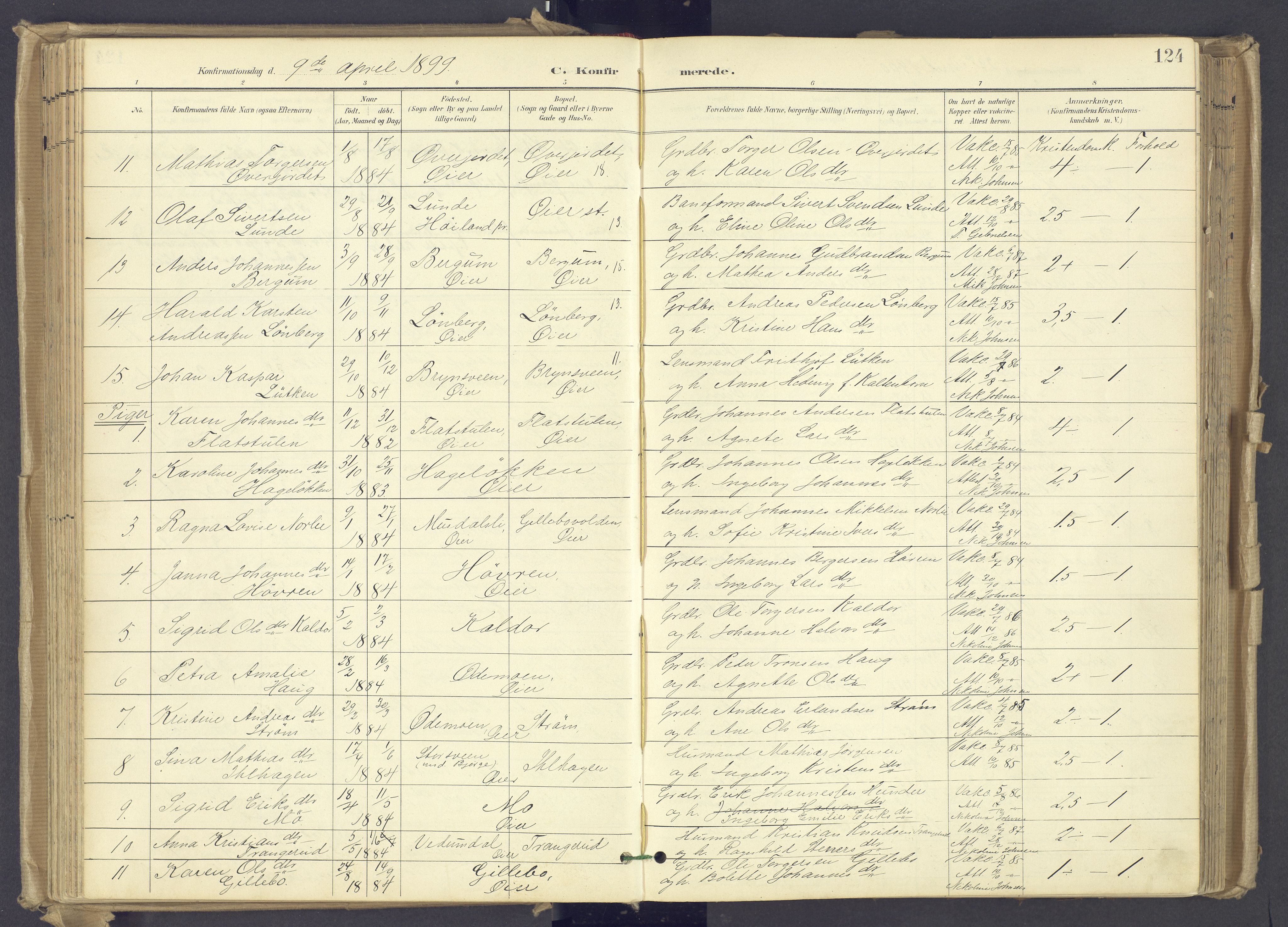 Øyer prestekontor, SAH/PREST-084/H/Ha/Haa/L0012: Parish register (official) no. 12, 1897-1920, p. 124