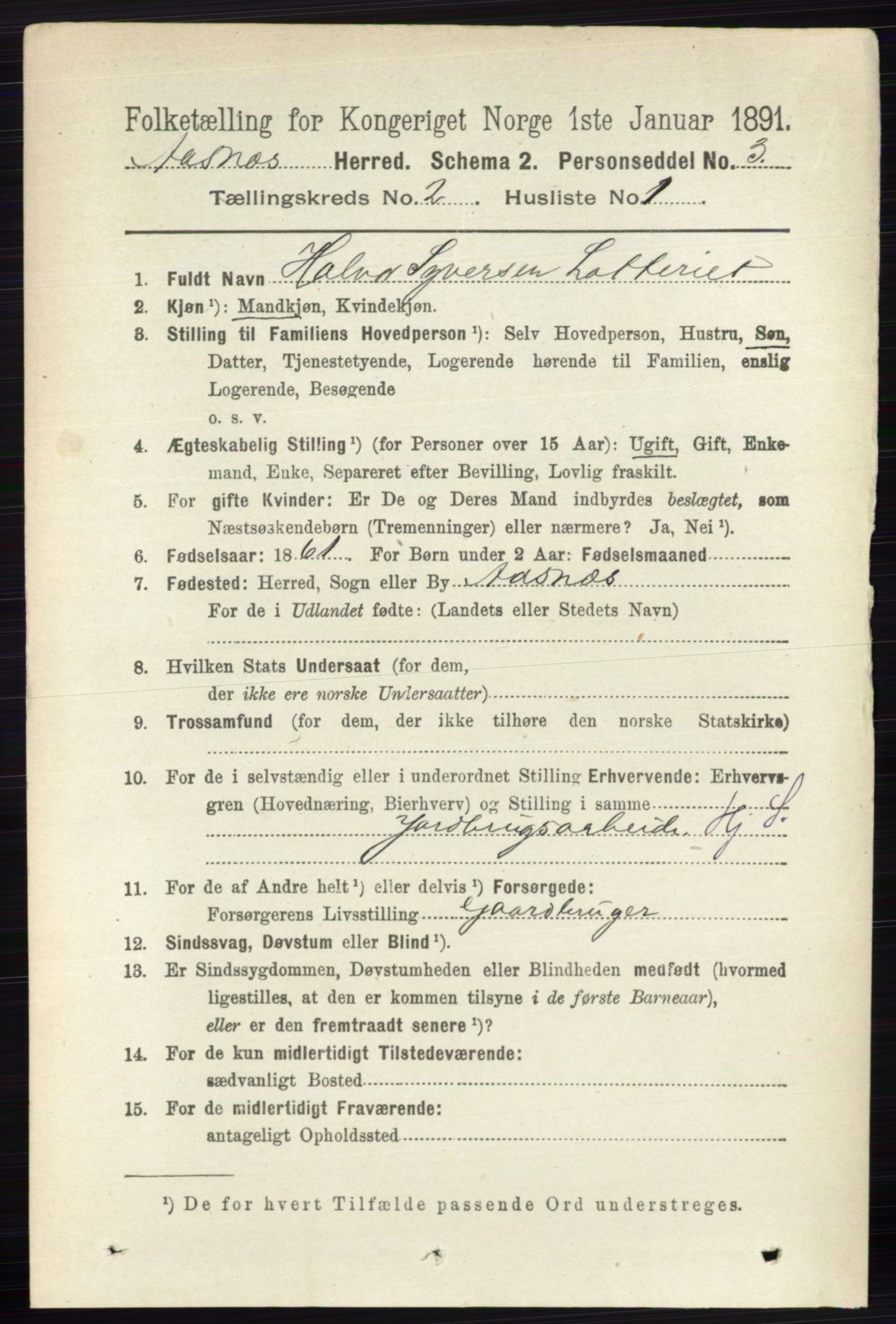 RA, 1891 census for 0425 Åsnes, 1891, p. 647