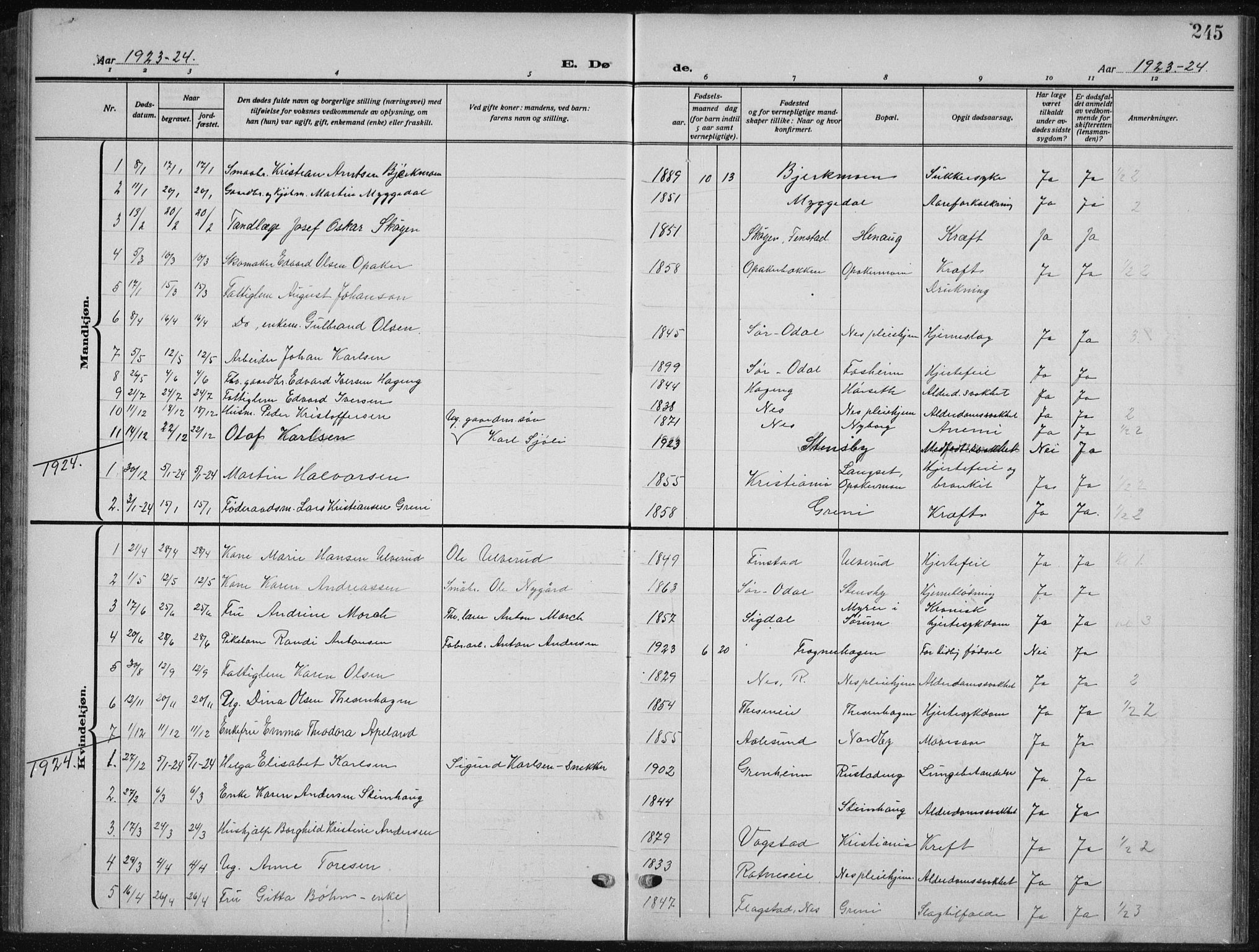 Nes prestekontor Kirkebøker, SAO/A-10410/G/Ga/L0003: Parish register (copy) no. I 3, 1913-1941, p. 245