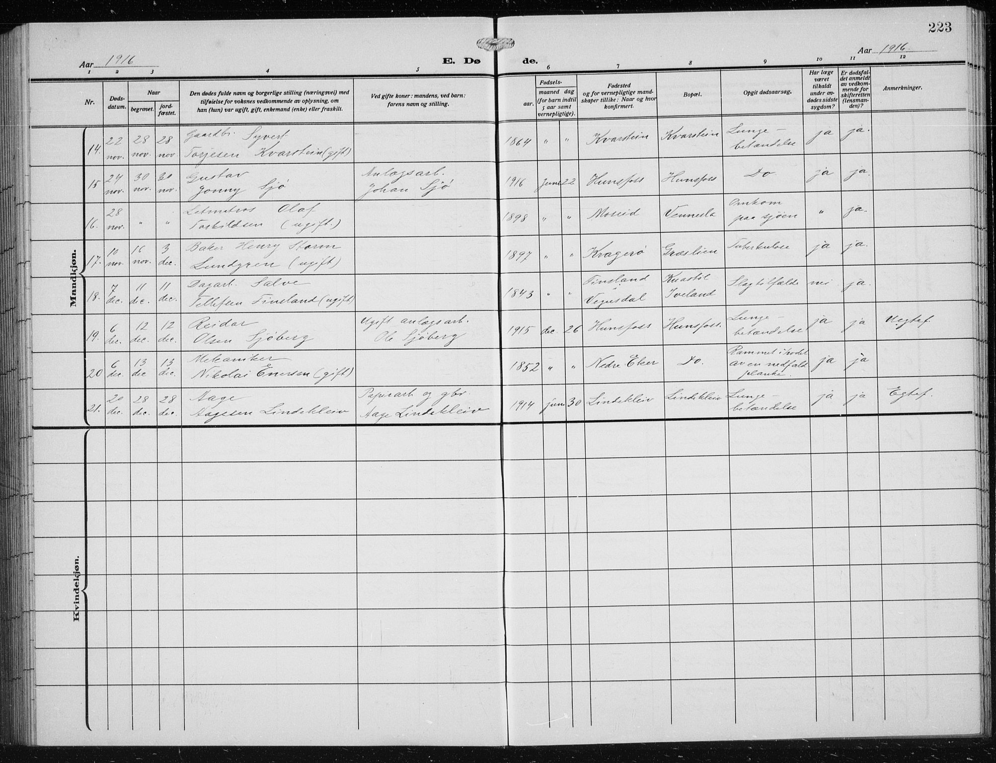 Vennesla sokneprestkontor, AV/SAK-1111-0045/Fb/Fbb/L0006: Parish register (copy) no. B 6, 1914-1921, p. 223