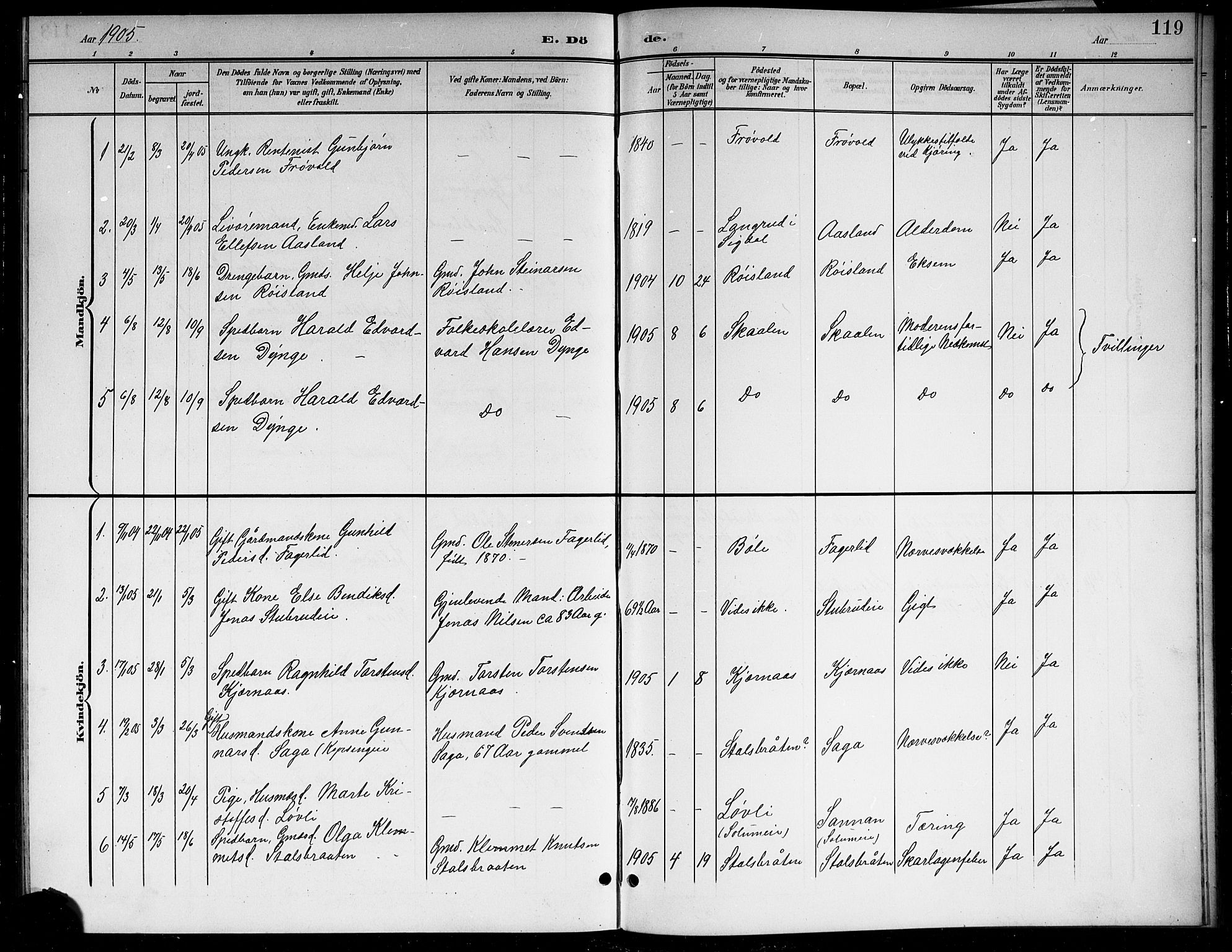 Sigdal kirkebøker, SAKO/A-245/G/Gb/L0003: Parish register (copy) no. II 3, 1901-1916, p. 119