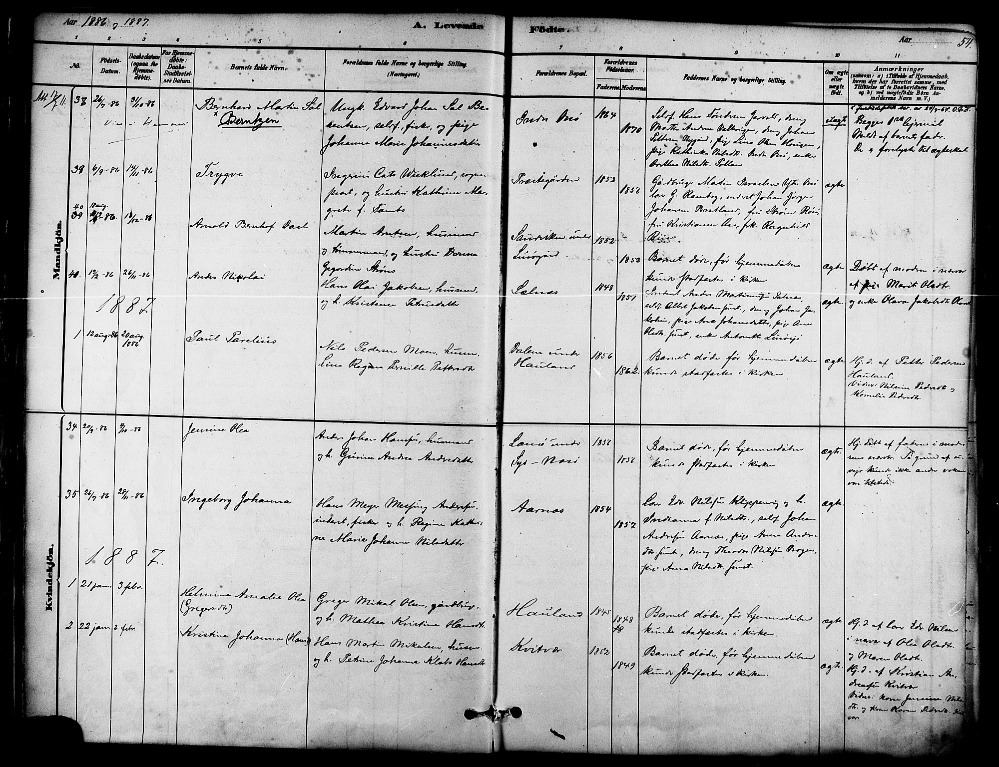Ministerialprotokoller, klokkerbøker og fødselsregistre - Nordland, SAT/A-1459/839/L0568: Parish register (official) no. 839A05, 1880-1902, p. 54
