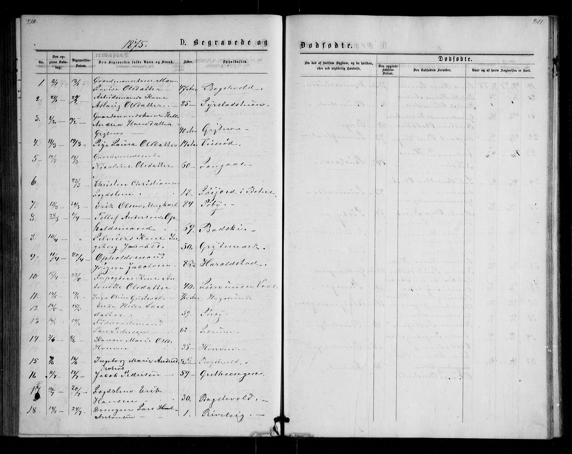 Våle kirkebøker, AV/SAKO-A-334/G/Ga/L0004a: Parish register (copy) no. I 4, 1874-1893, p. 210-211