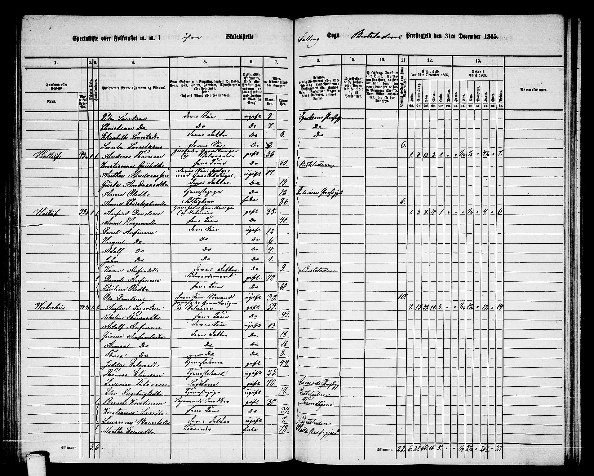 RA, 1865 census for Beitstad, 1865, p. 98