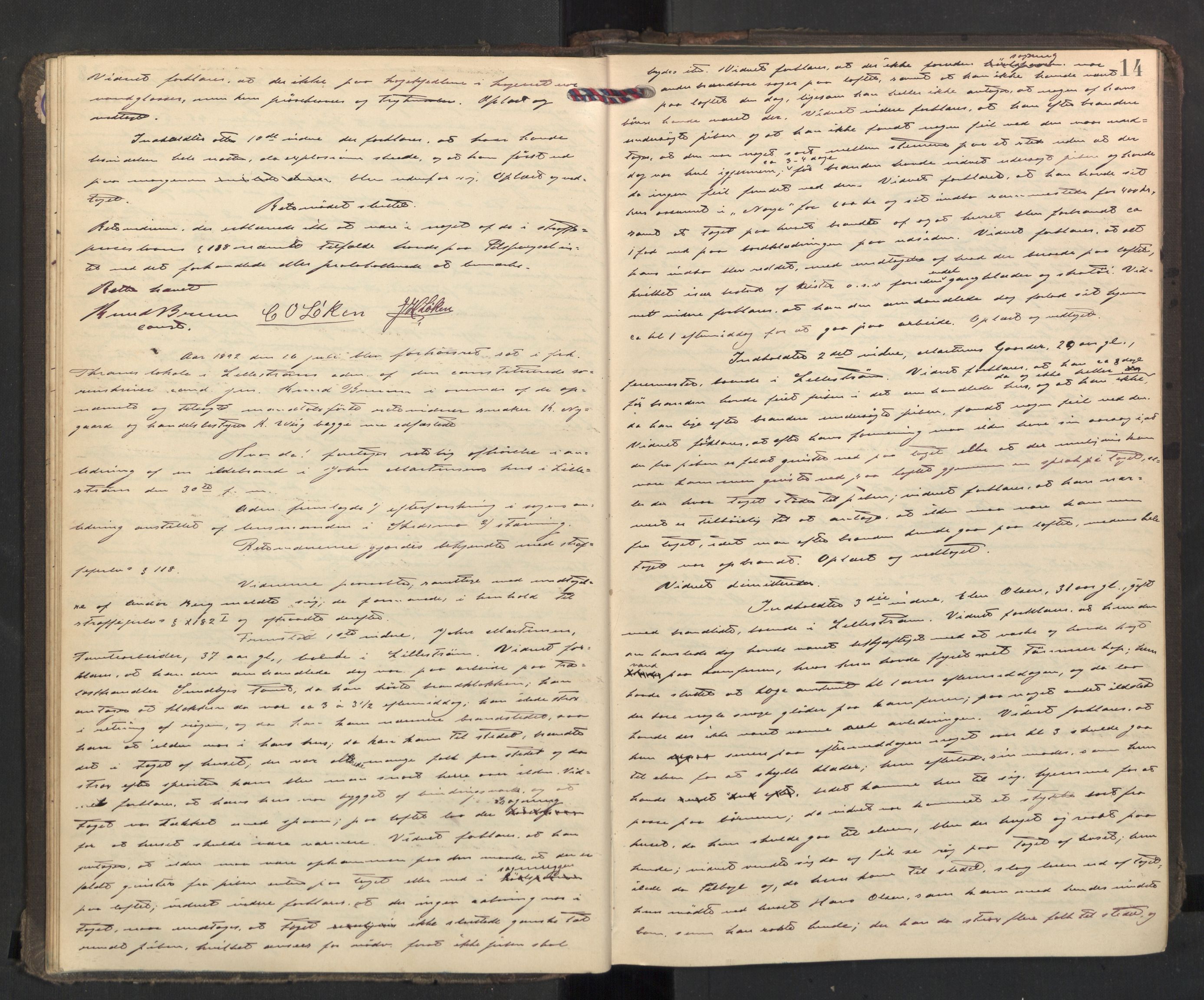 Nedre Romerike sorenskriveri, AV/SAO-A-10469/F/Fc/L0038: Ekstrarettsprotokoll, 1892-1896, p. 13b-14a