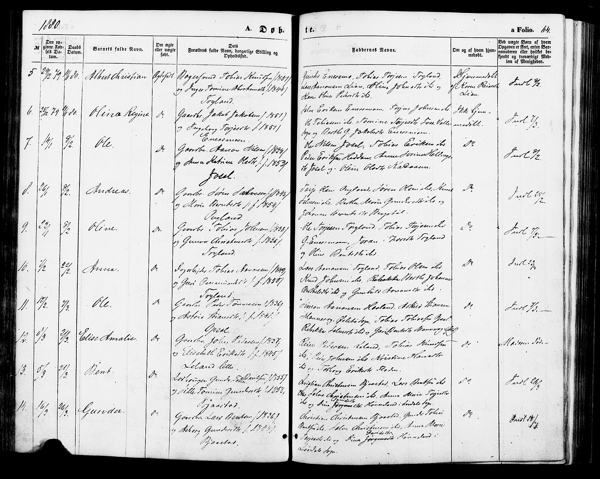 Nord-Audnedal sokneprestkontor, AV/SAK-1111-0032/F/Fa/Fab/L0002: Parish register (official) no. A 2, 1859-1882, p. 64