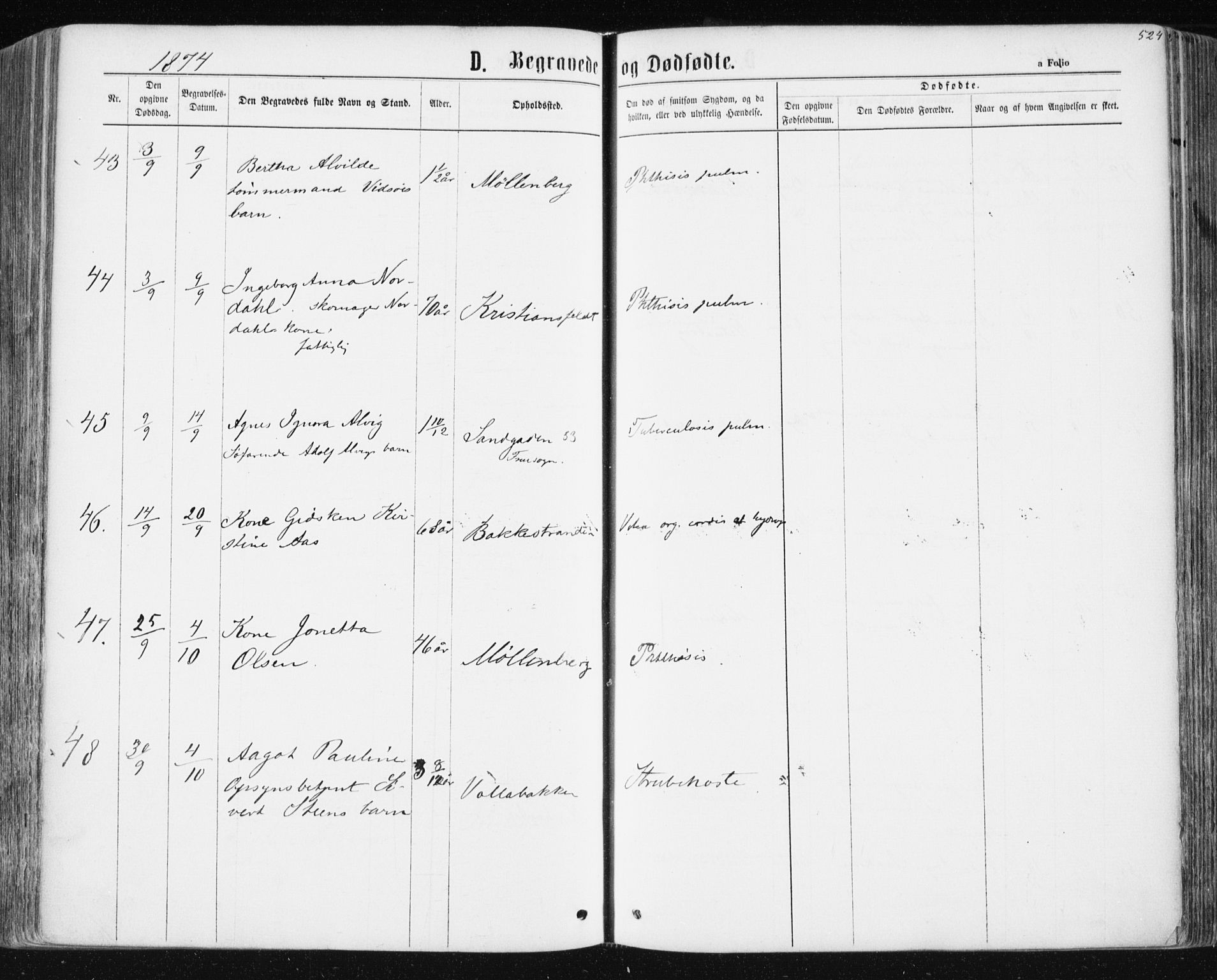 Ministerialprotokoller, klokkerbøker og fødselsregistre - Sør-Trøndelag, AV/SAT-A-1456/604/L0186: Parish register (official) no. 604A07, 1866-1877, p. 524