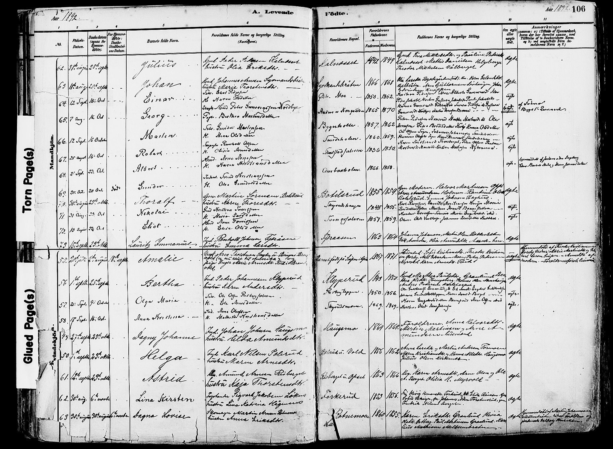 Grue prestekontor, AV/SAH-PREST-036/H/Ha/Haa/L0012: Parish register (official) no. 12, 1881-1897, p. 106