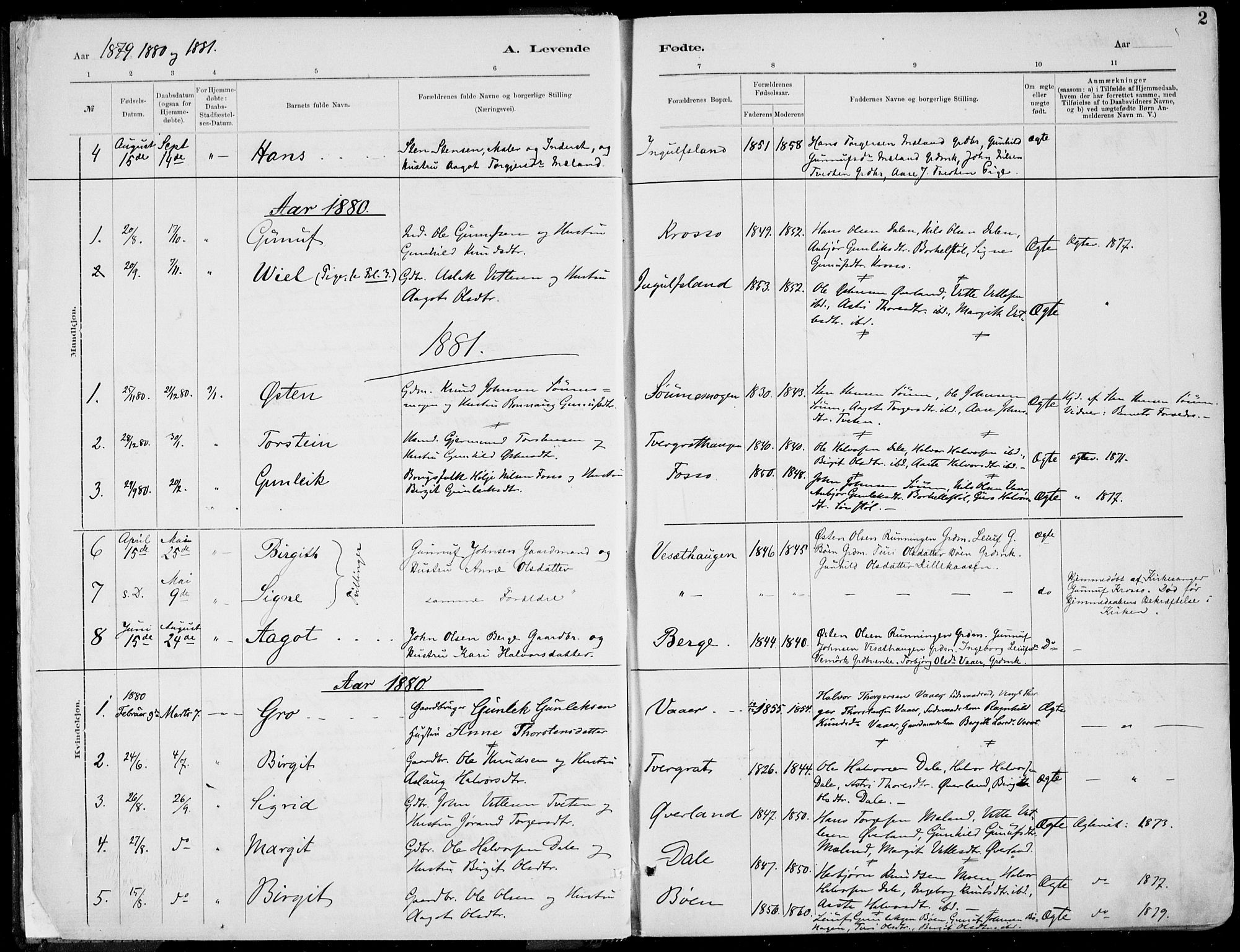 Rjukan kirkebøker, SAKO/A-294/F/Fa/L0001: Parish register (official) no. 1, 1878-1912, p. 2