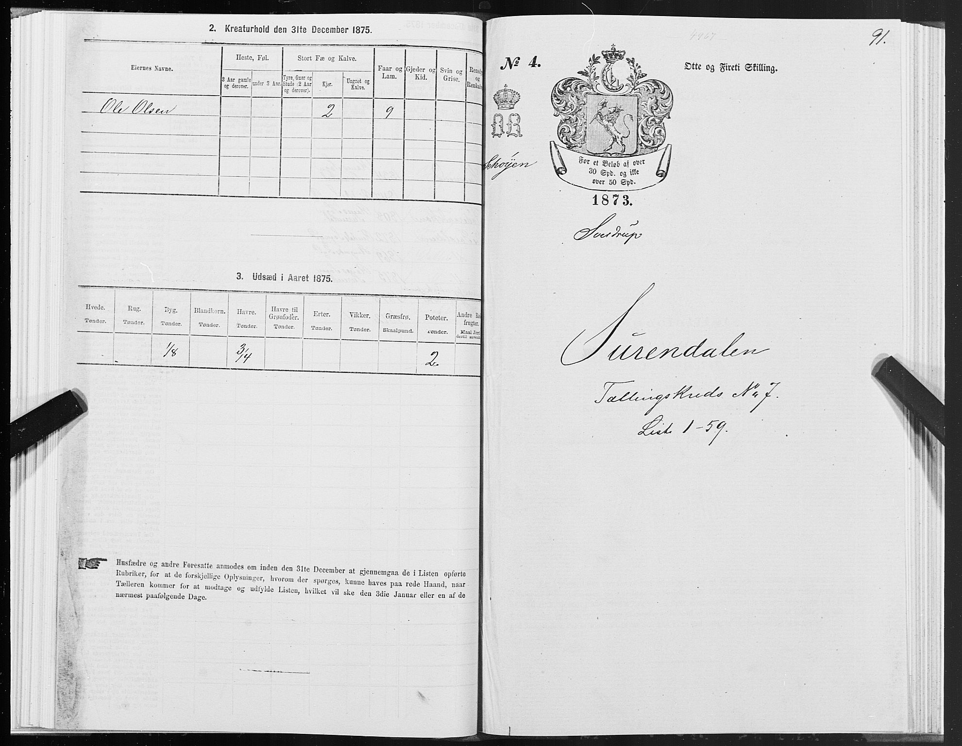 SAT, 1875 census for 1566P Surnadal, 1875, p. 3091