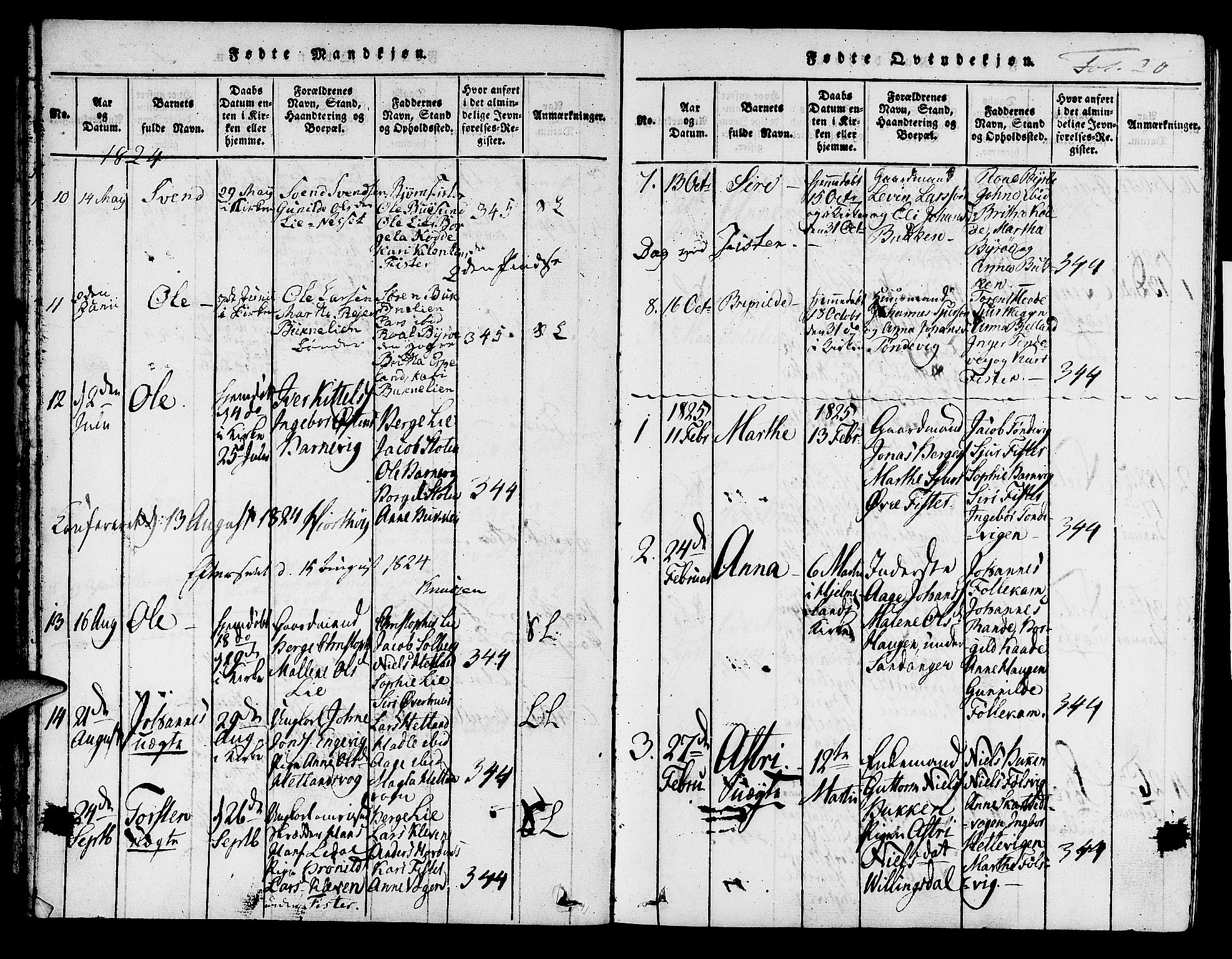 Hjelmeland sokneprestkontor, AV/SAST-A-101843/01/IV/L0004: Parish register (official) no. A 4, 1816-1834, p. 20