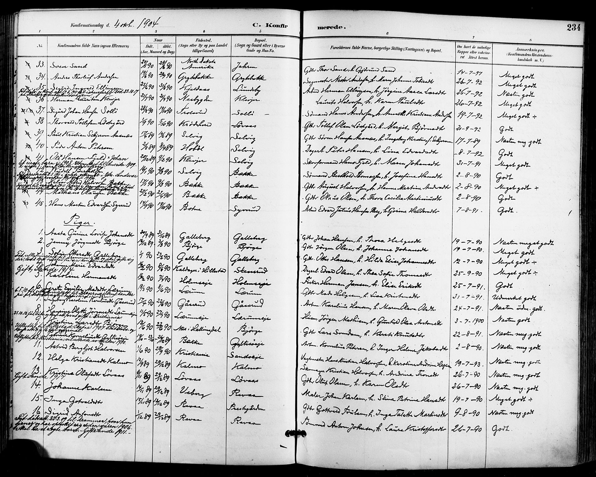 Sande Kirkebøker, SAKO/A-53/F/Fa/L0007: Parish register (official) no. 7, 1888-1903, p. 234