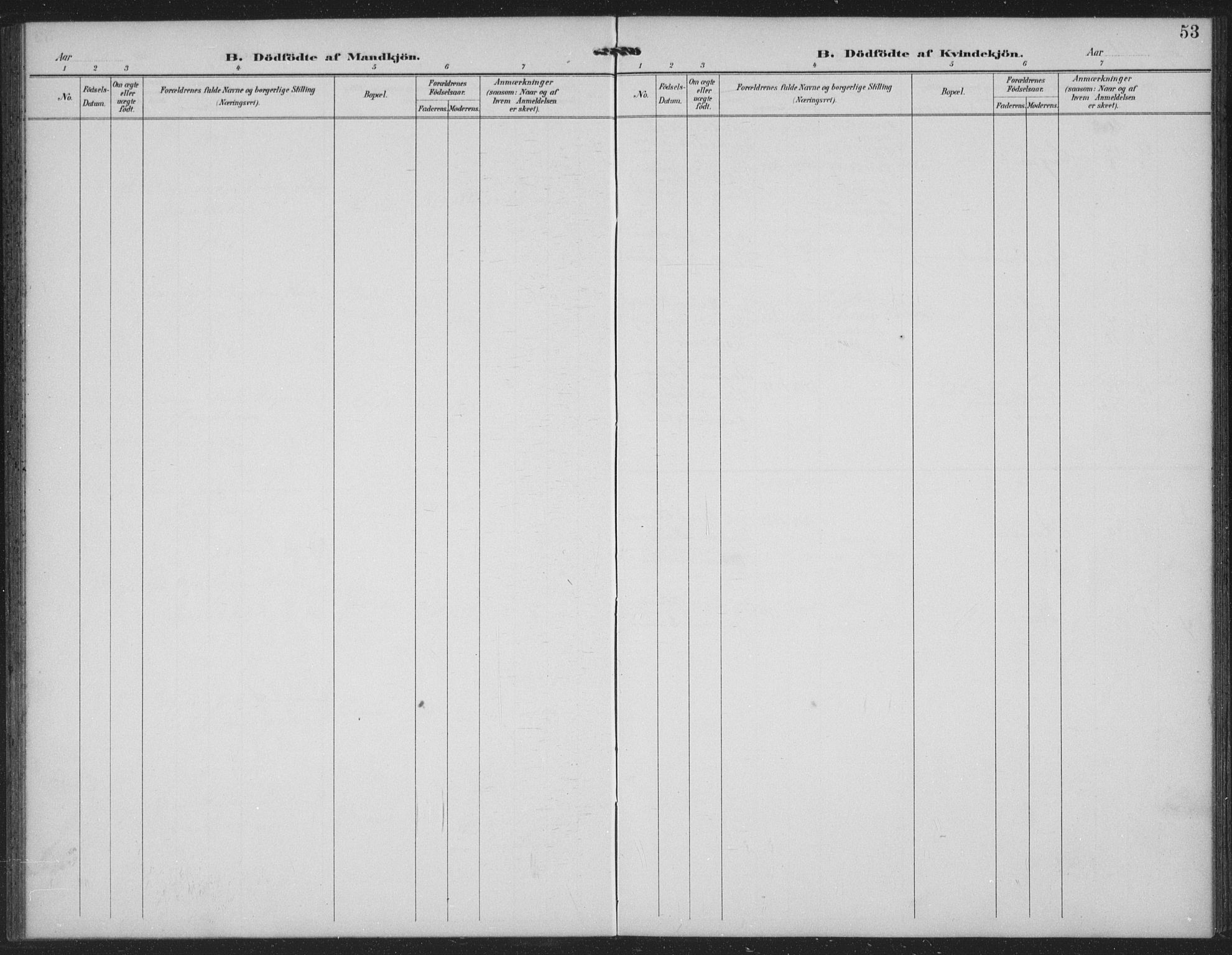 Seljord kirkebøker, AV/SAKO-A-20/G/Gc/L0003: Parish register (copy) no. III 3, 1887-1926, p. 53