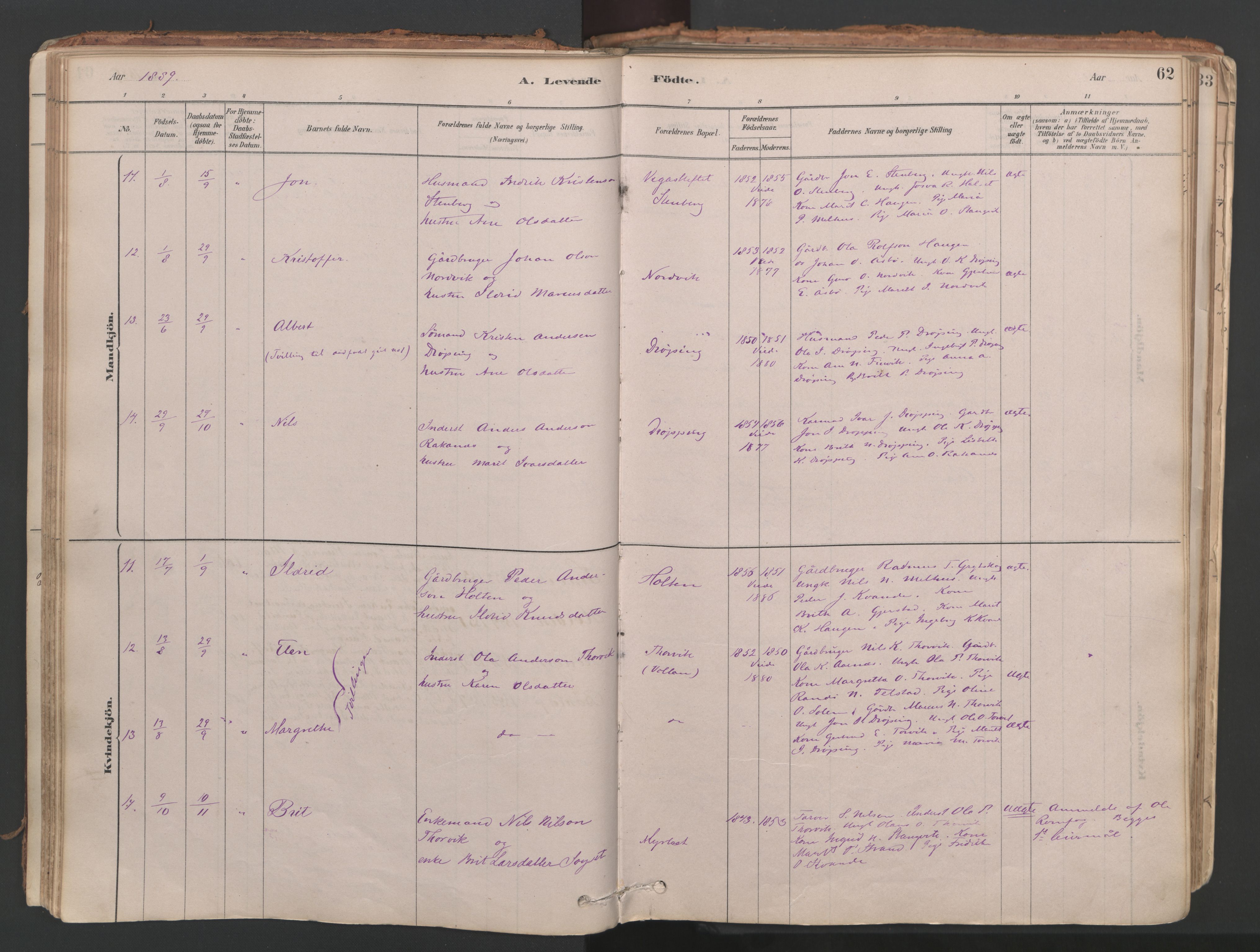 Ministerialprotokoller, klokkerbøker og fødselsregistre - Møre og Romsdal, AV/SAT-A-1454/592/L1029: Parish register (official) no. 592A07, 1879-1902, p. 62