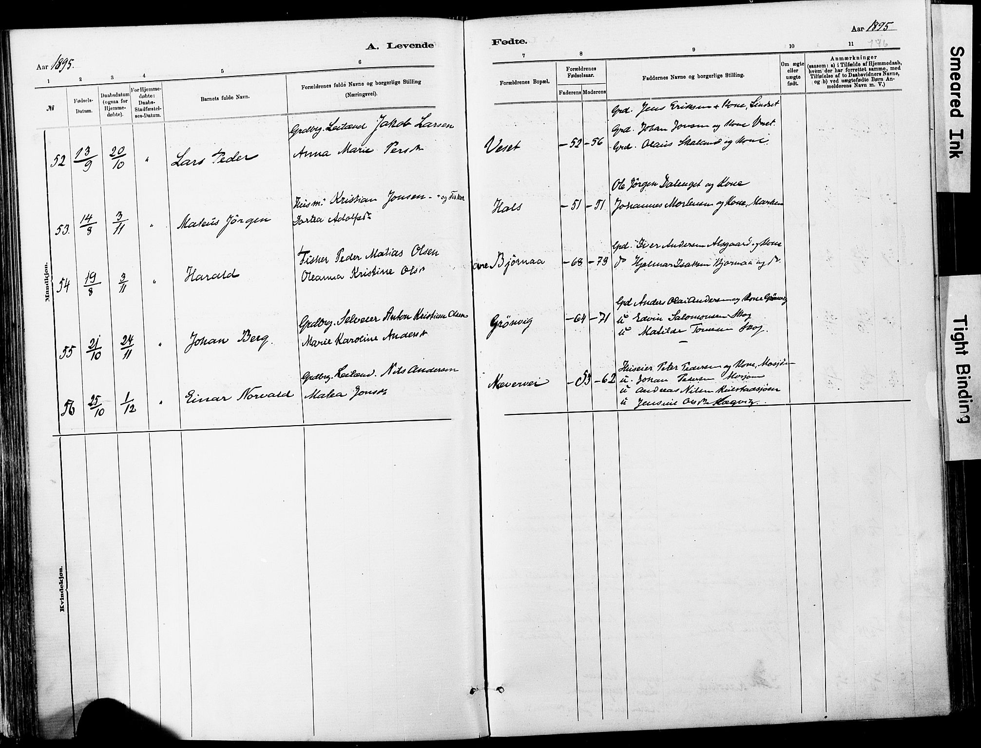 Ministerialprotokoller, klokkerbøker og fødselsregistre - Nordland, SAT/A-1459/820/L0295: Parish register (official) no. 820A16, 1880-1896, p. 146