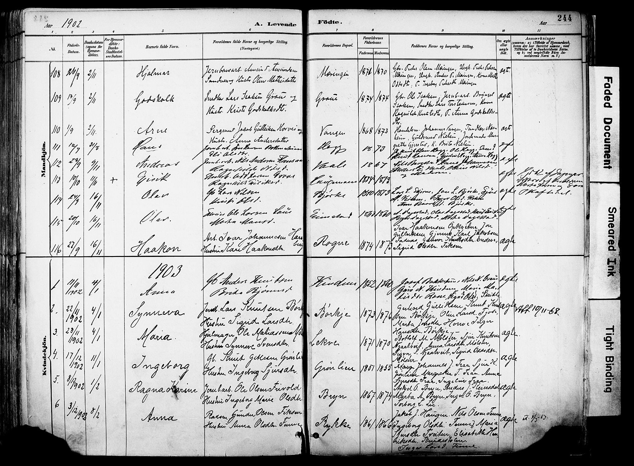 Voss sokneprestembete, AV/SAB-A-79001/H/Haa: Parish register (official) no. A 21, 1887-1903, p. 244