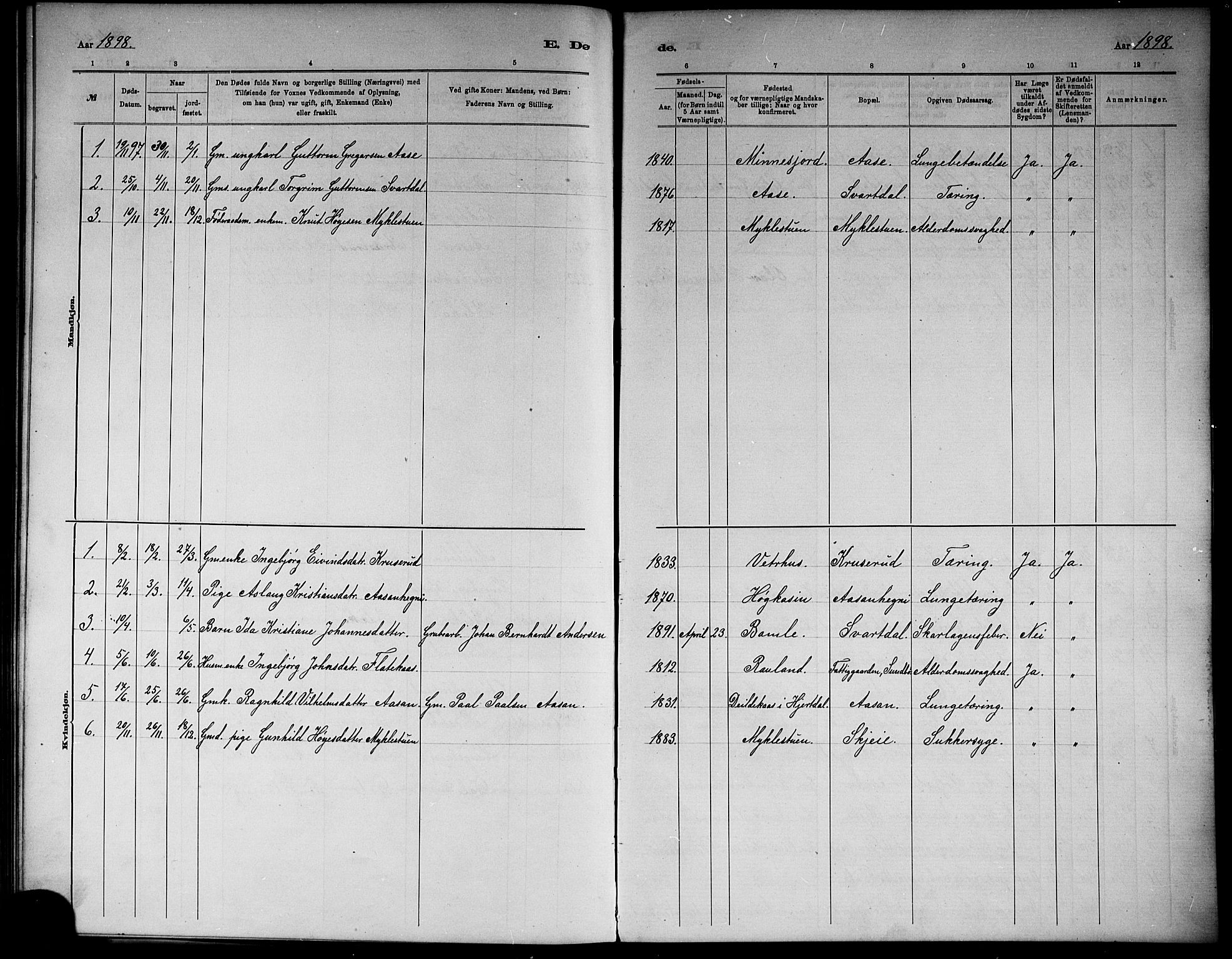 Seljord kirkebøker, AV/SAKO-A-20/G/Gb/L0004: Parish register (copy) no. II 4, 1885-1921