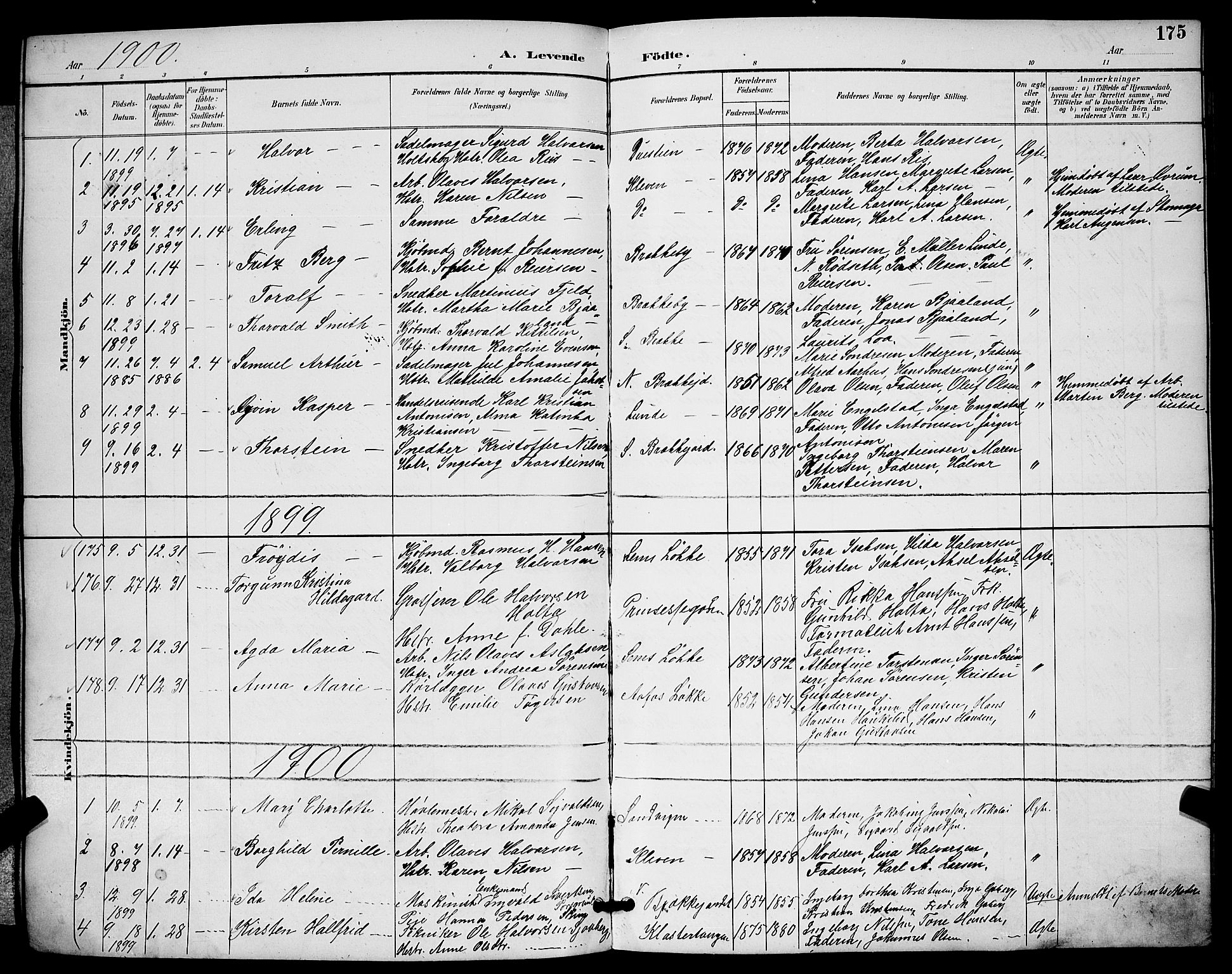 Skien kirkebøker, SAKO/A-302/G/Ga/L0007: Parish register (copy) no. 7, 1891-1900, p. 175