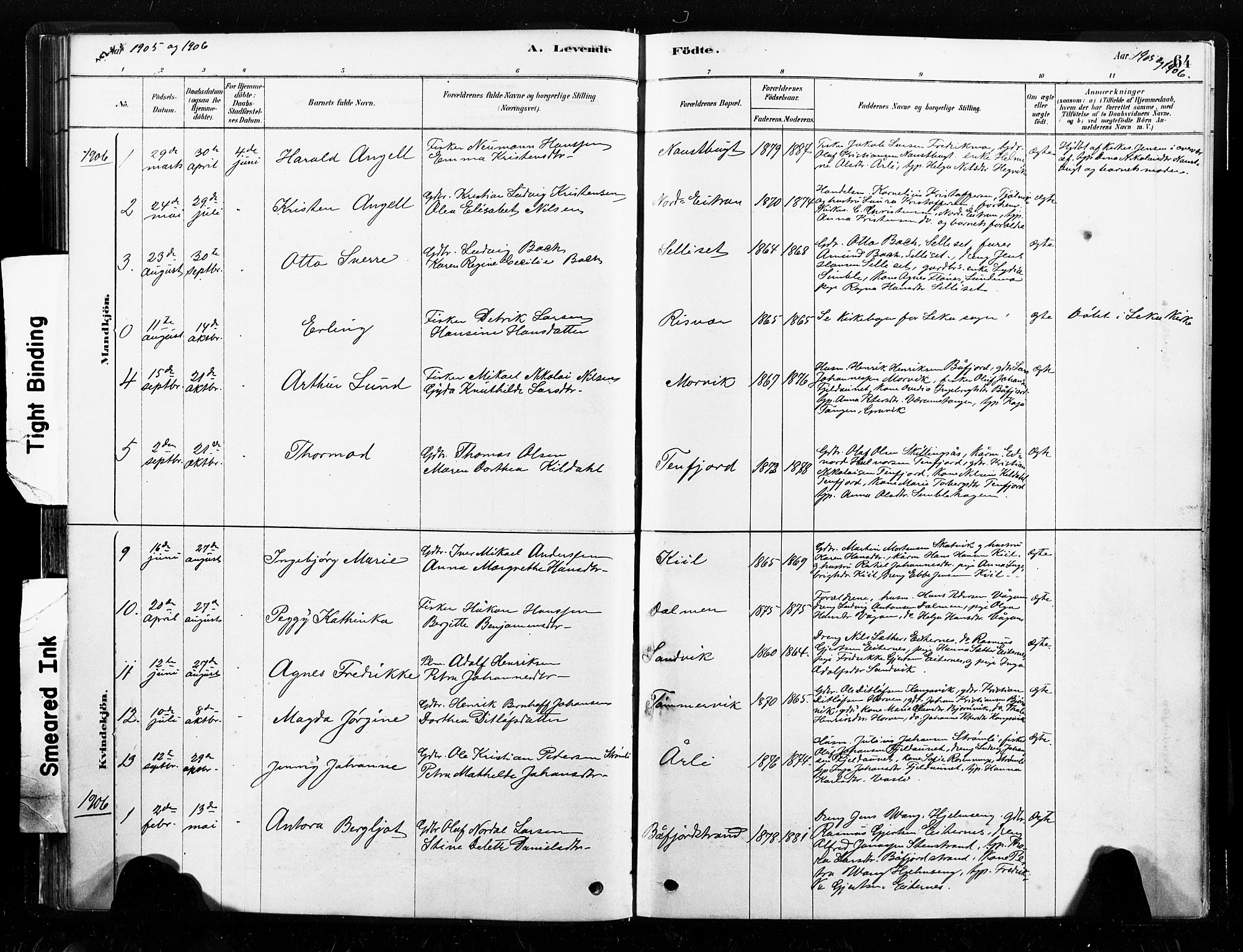 Ministerialprotokoller, klokkerbøker og fødselsregistre - Nord-Trøndelag, SAT/A-1458/789/L0705: Parish register (official) no. 789A01, 1878-1910, p. 64