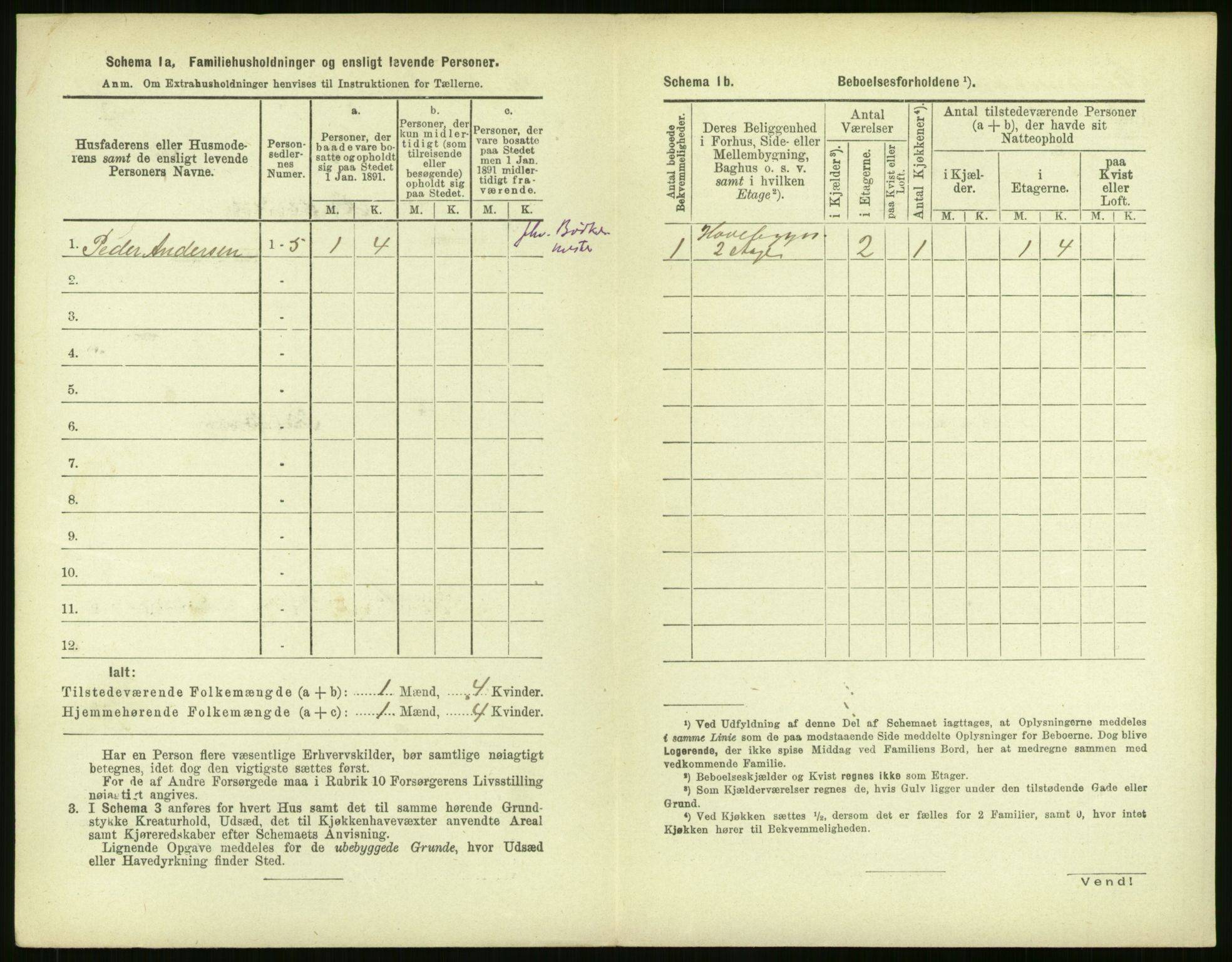 RA, 1891 census for 1104 Skudeneshavn, 1891, p. 293