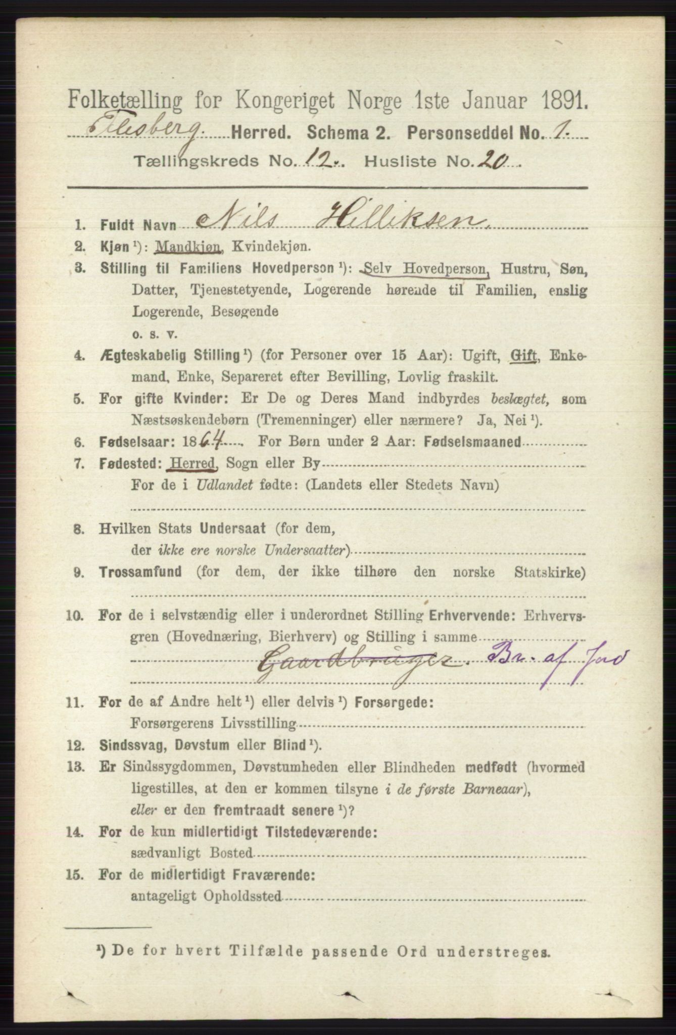 RA, 1891 census for 0631 Flesberg, 1891, p. 2173