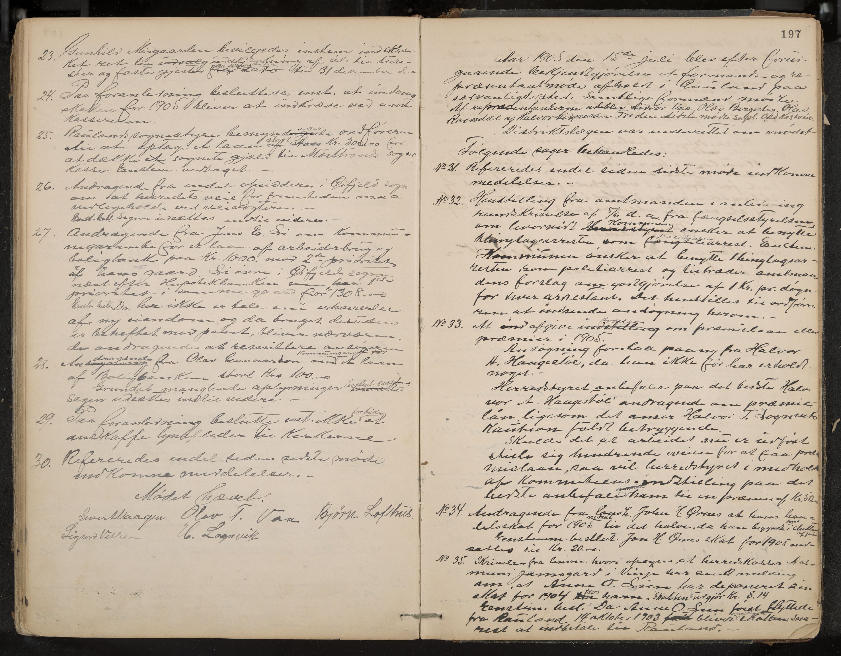 Rauland formannskap og sentraladministrasjon, IKAK/0835021/A/Aa/L0002: Møtebok, 1884-1908, p. 197