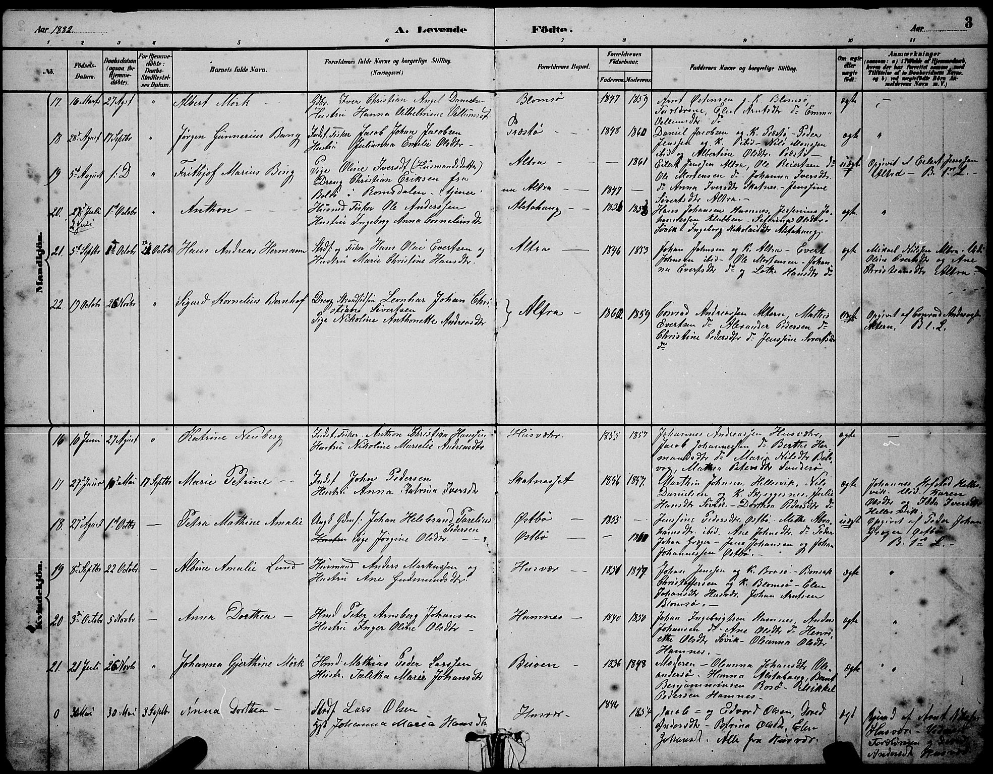 Ministerialprotokoller, klokkerbøker og fødselsregistre - Nordland, SAT/A-1459/830/L0462: Parish register (copy) no. 830C04, 1882-1895, p. 3