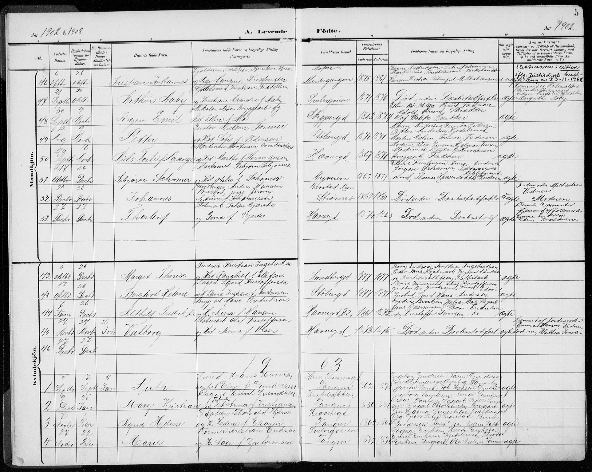 Strømsø kirkebøker, AV/SAKO-A-246/F/Fb/L0008: Parish register (official) no. II 8, 1902-1933, p. 5