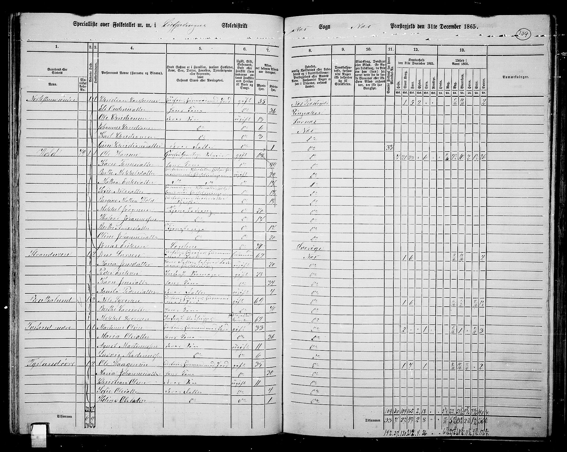 RA, 1865 census for Nes, 1865, p. 94