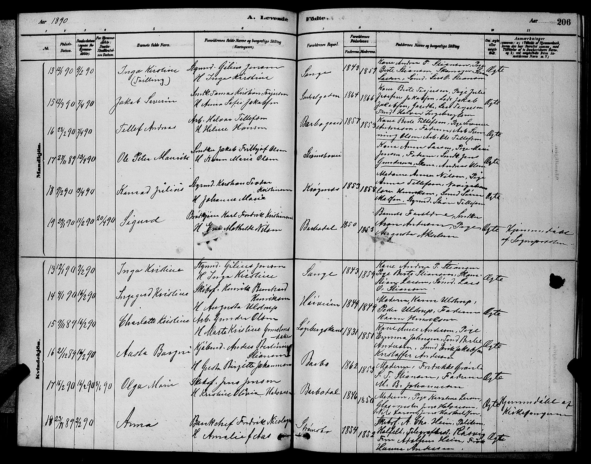 Barbu sokneprestkontor, AV/SAK-1111-0003/F/Fb/L0001: Parish register (copy) no. B 1, 1878-1890, p. 206