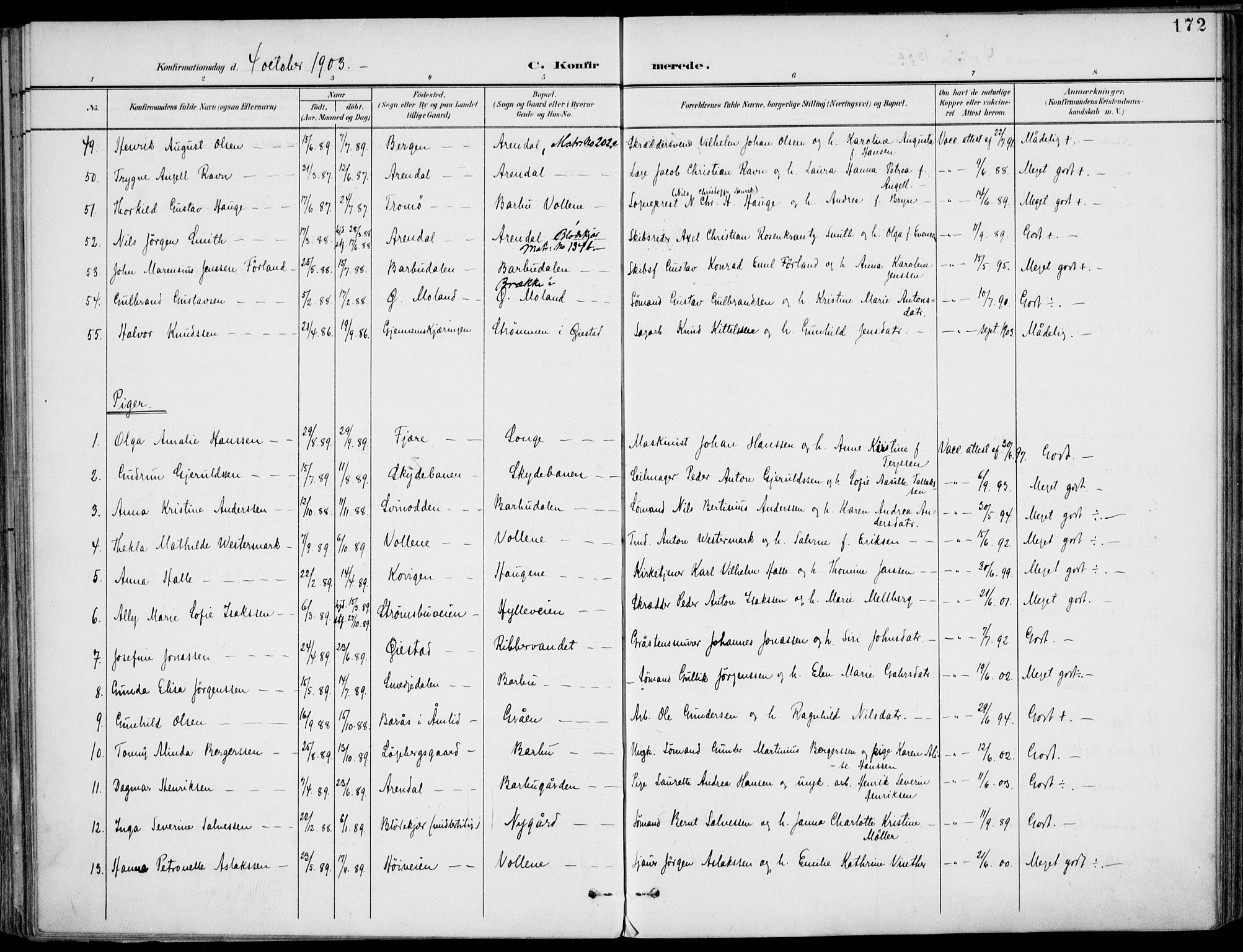 Barbu sokneprestkontor, AV/SAK-1111-0003/F/Fa/L0005: Parish register (official) no. A 5, 1899-1909, p. 172