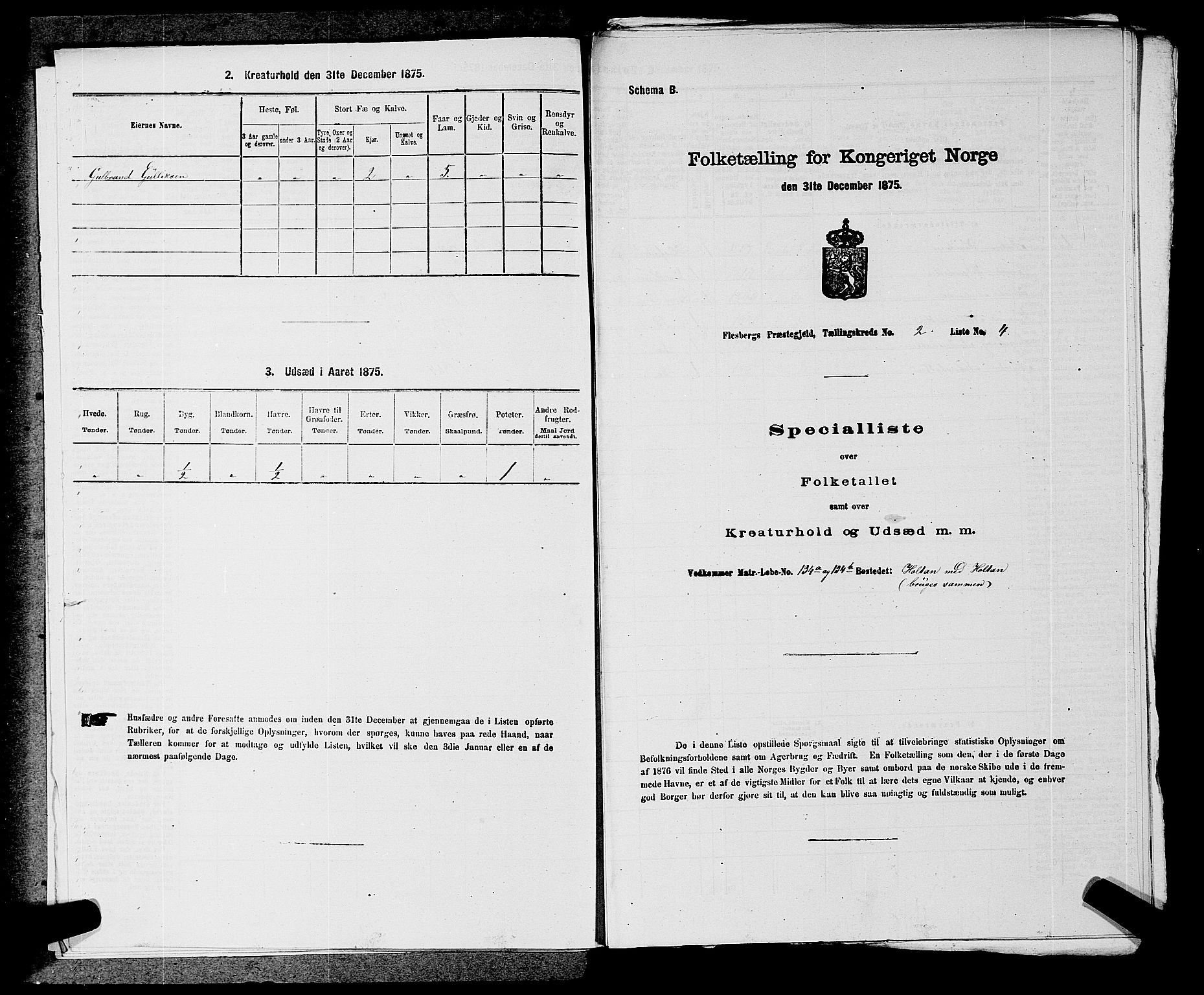 SAKO, 1875 census for 0631P Flesberg, 1875, p. 466