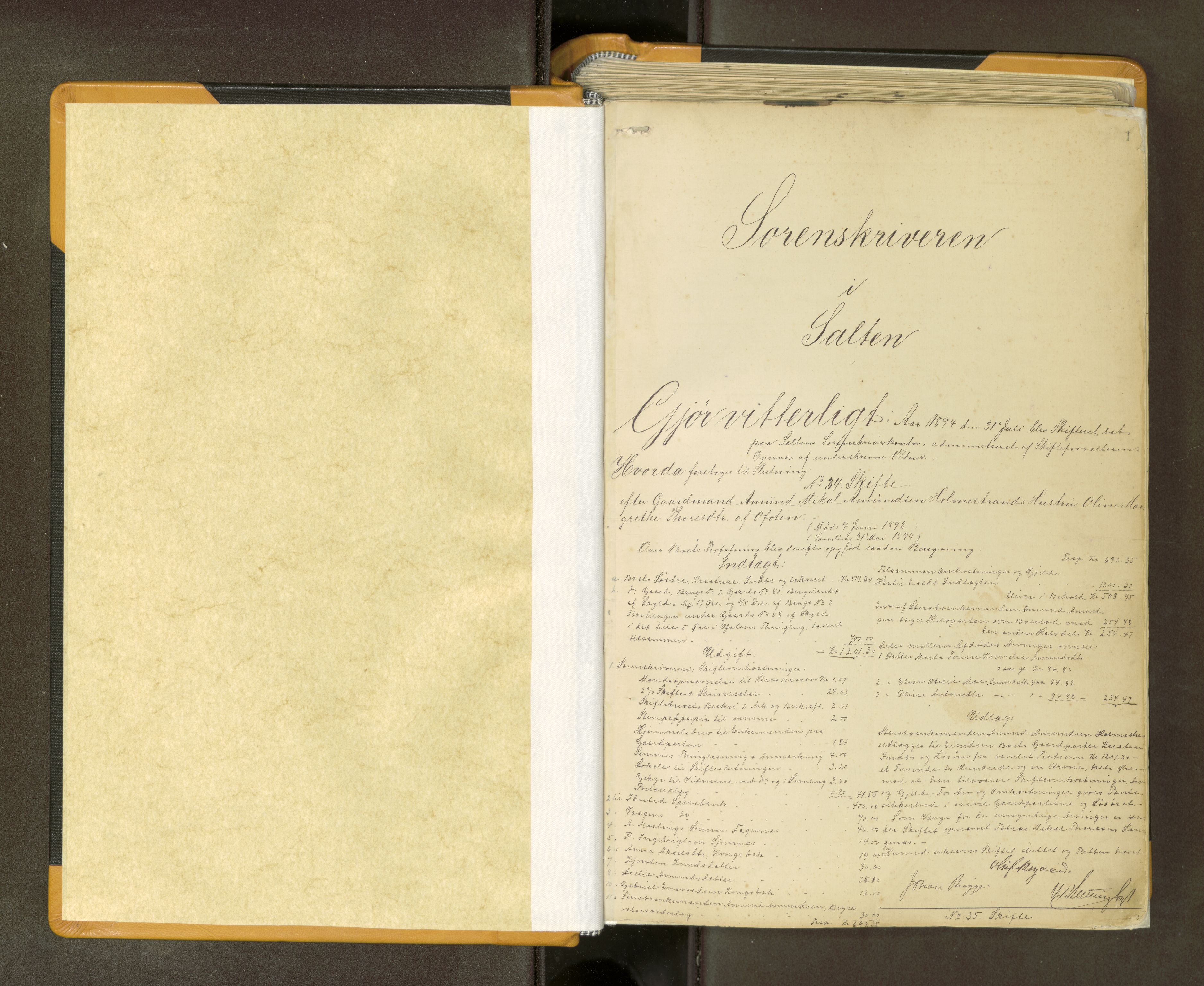 Salten sorenskriveri, AV/SAT-A-4578/1/3/3A/L0064: Skifteslutningsprotokoll, 1894-1912, p. 1