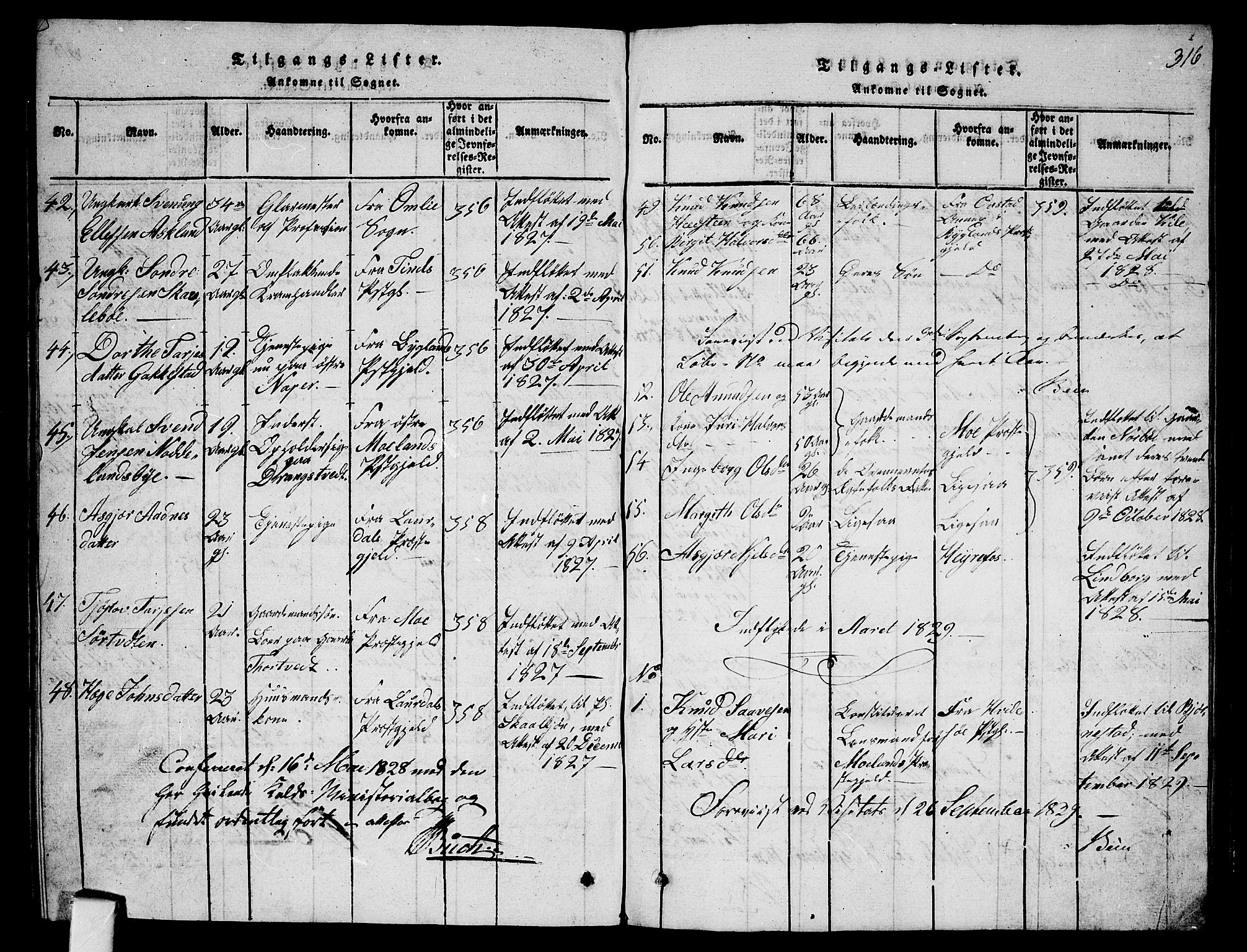 Fyresdal kirkebøker, SAKO/A-263/G/Ga/L0001: Parish register (copy) no. I 1, 1816-1840, p. 316