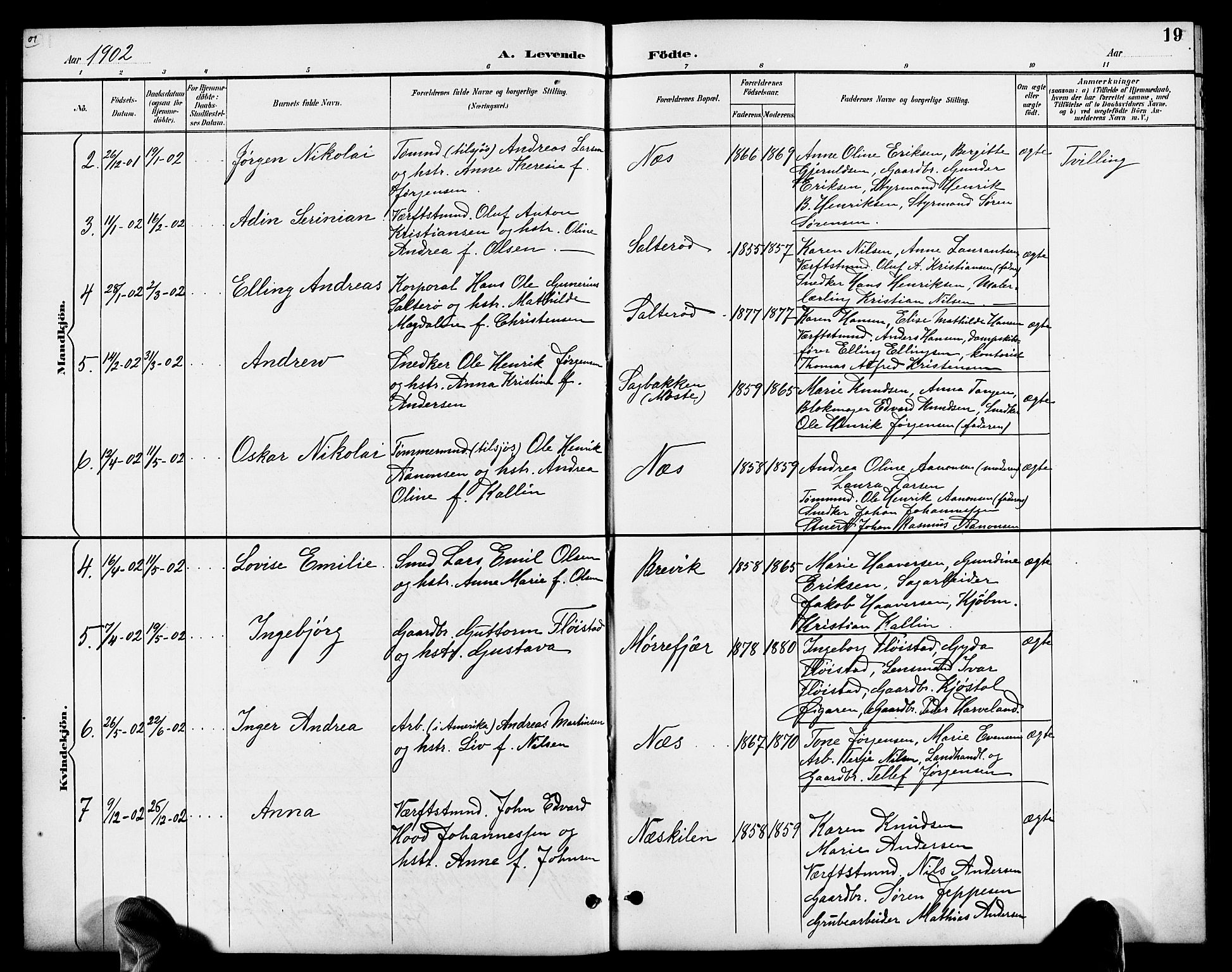 Austre Moland sokneprestkontor, SAK/1111-0001/F/Fb/Fbb/L0002: Parish register (copy) no. B 2, 1894-1918, p. 19