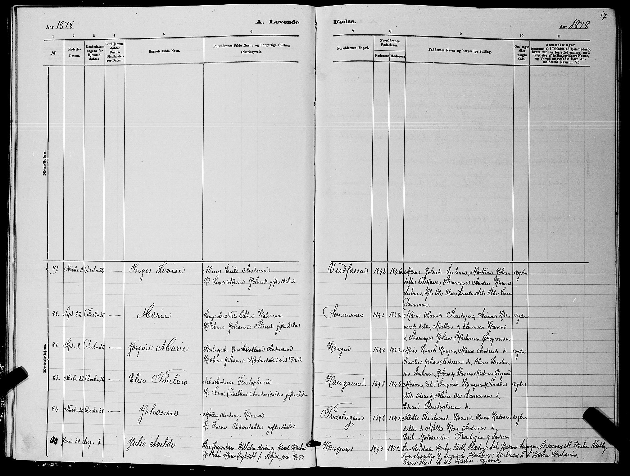 Eiker kirkebøker, AV/SAKO-A-4/G/Ga/L0005: Parish register (copy) no. I 5, 1878-1887, p. 17