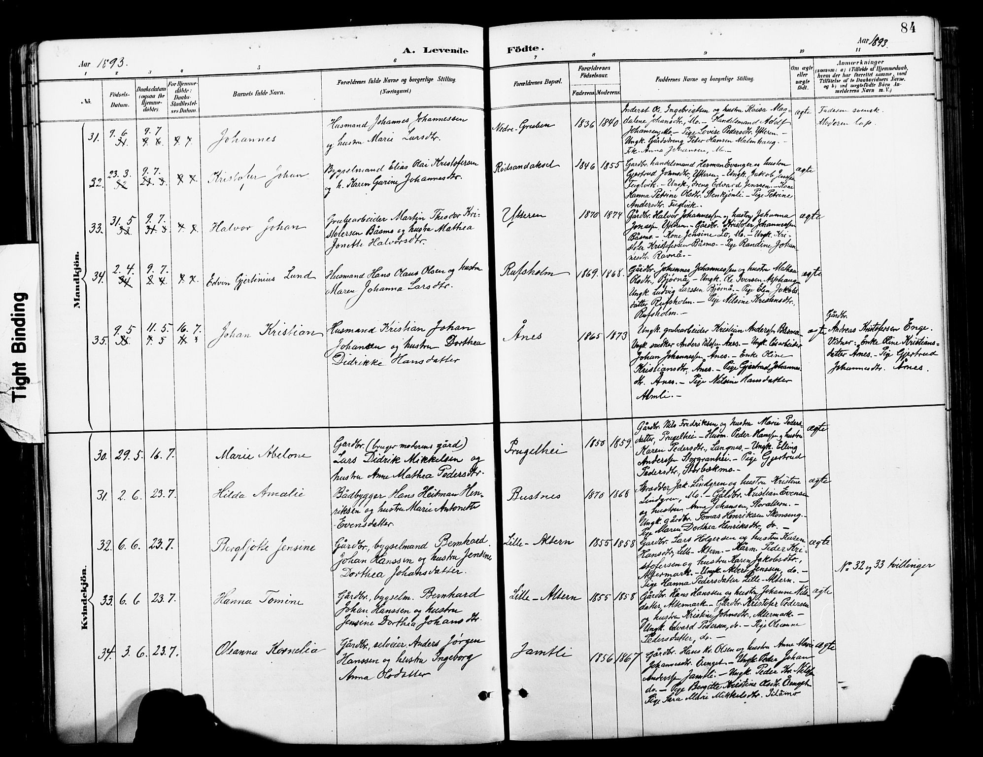 Ministerialprotokoller, klokkerbøker og fødselsregistre - Nordland, AV/SAT-A-1459/827/L0421: Parish register (copy) no. 827C10, 1887-1906, p. 84