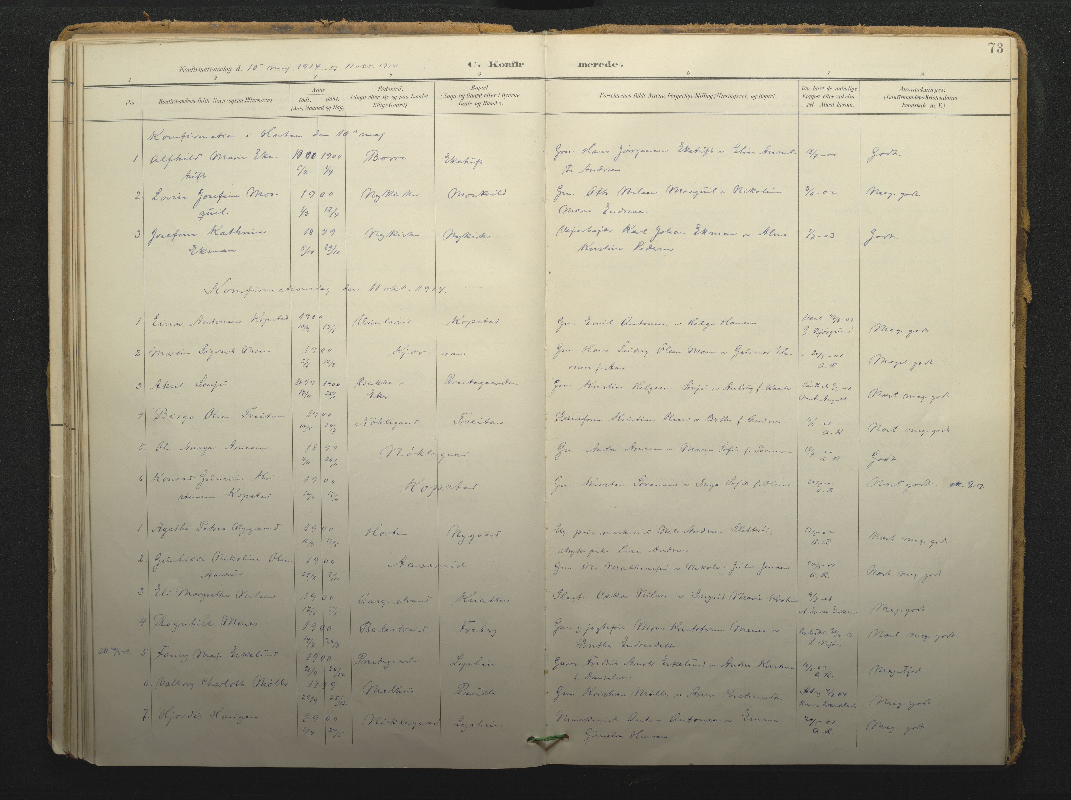 Borre kirkebøker, AV/SAKO-A-338/F/Fc/L0003: Parish register (official) no. III 3, 1896-1919, p. 73