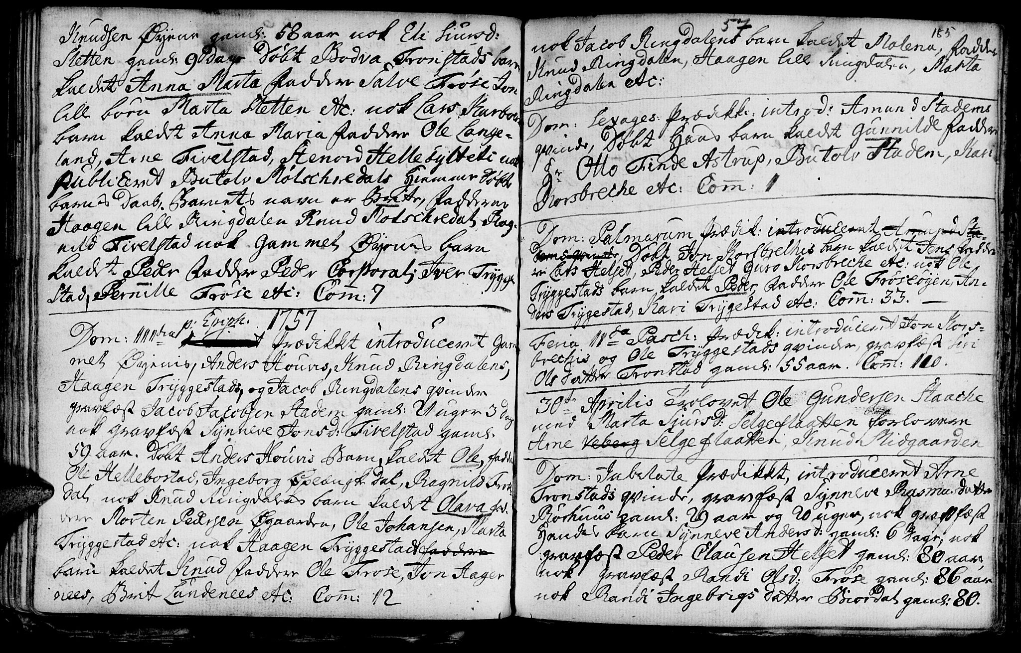 Ministerialprotokoller, klokkerbøker og fødselsregistre - Møre og Romsdal, SAT/A-1454/519/L0241: Parish register (official) no. 519A01 /2, 1736-1760, p. 185