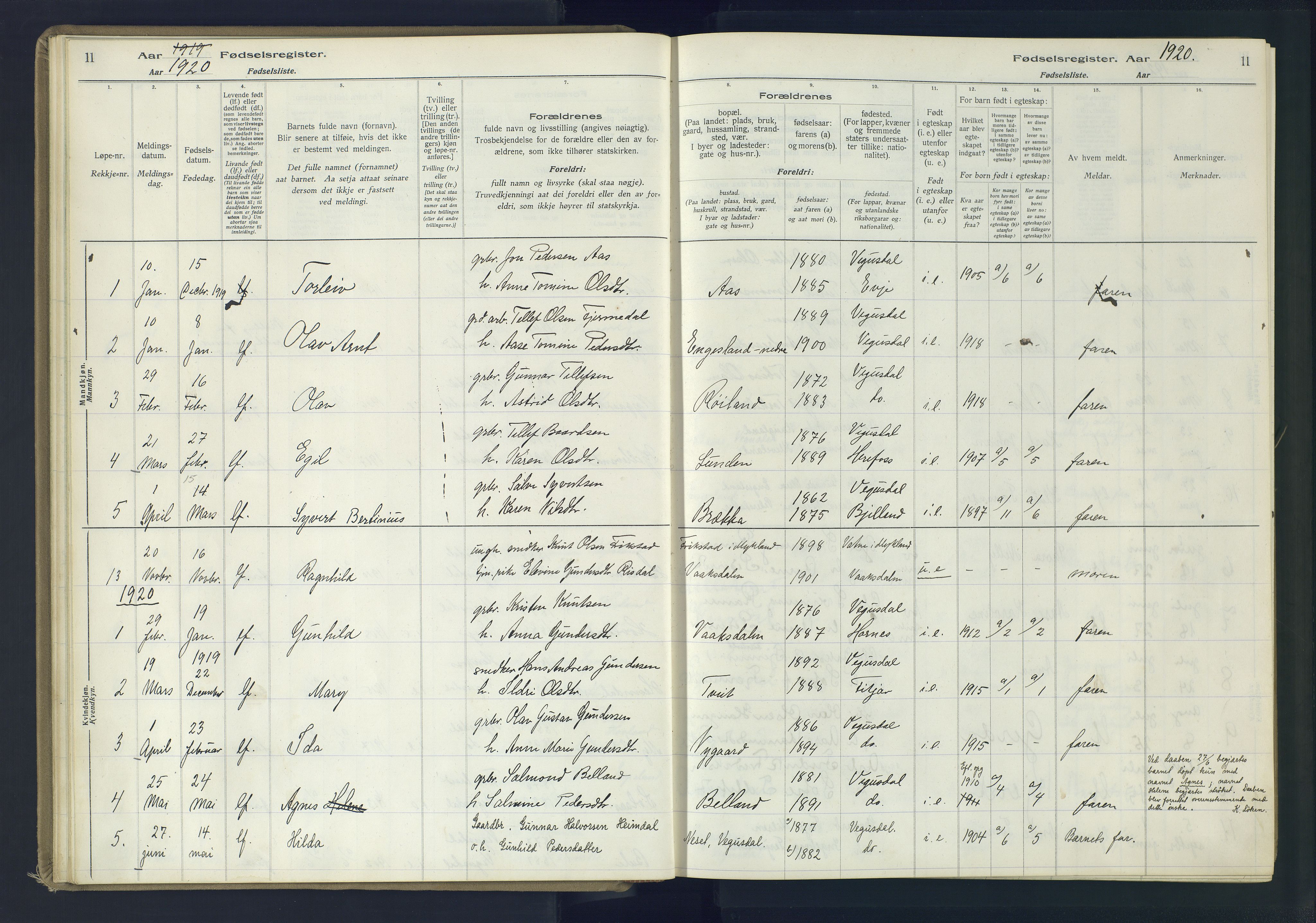 Herefoss sokneprestkontor, AV/SAK-1111-0019/J/Ja/L0002: Birth register no. II.6.11, 1916-1982, p. 11