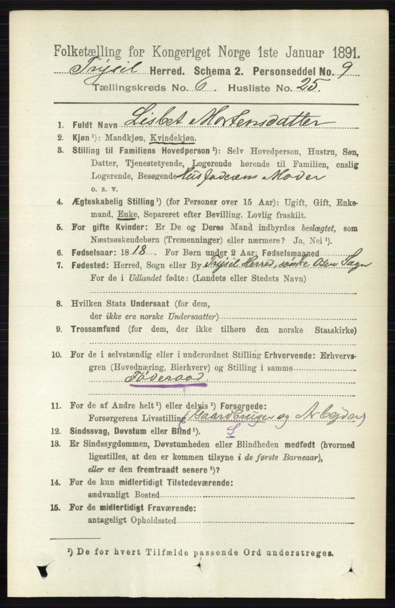 RA, 1891 census for 0428 Trysil, 1891, p. 2998