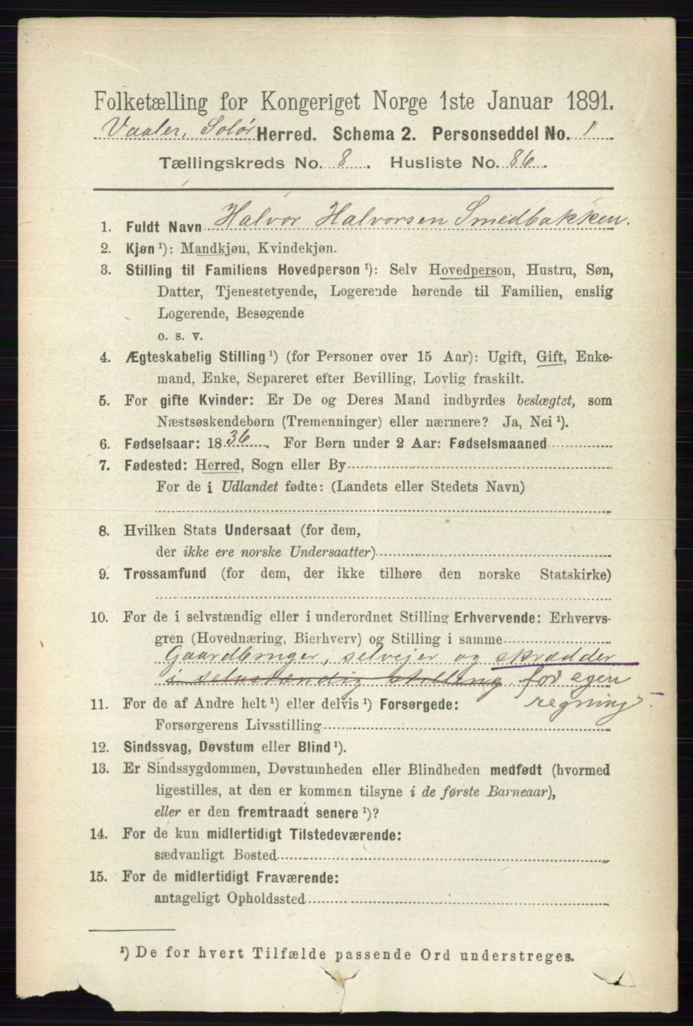 RA, 1891 census for 0426 Våler, 1891, p. 3805