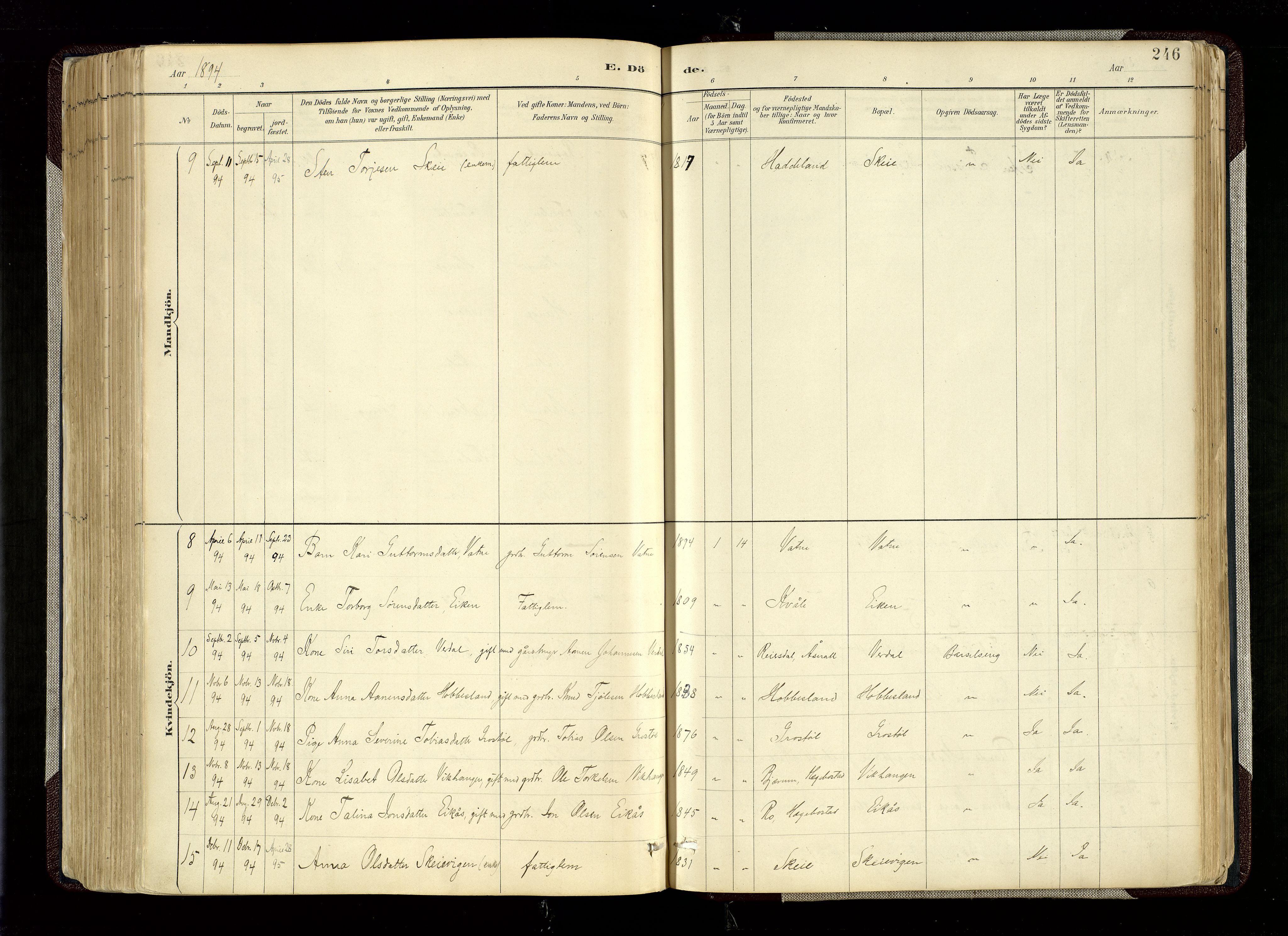 Hægebostad sokneprestkontor, SAK/1111-0024/F/Fa/Fab/L0004: Parish register (official) no. A 4, 1887-1929, p. 246