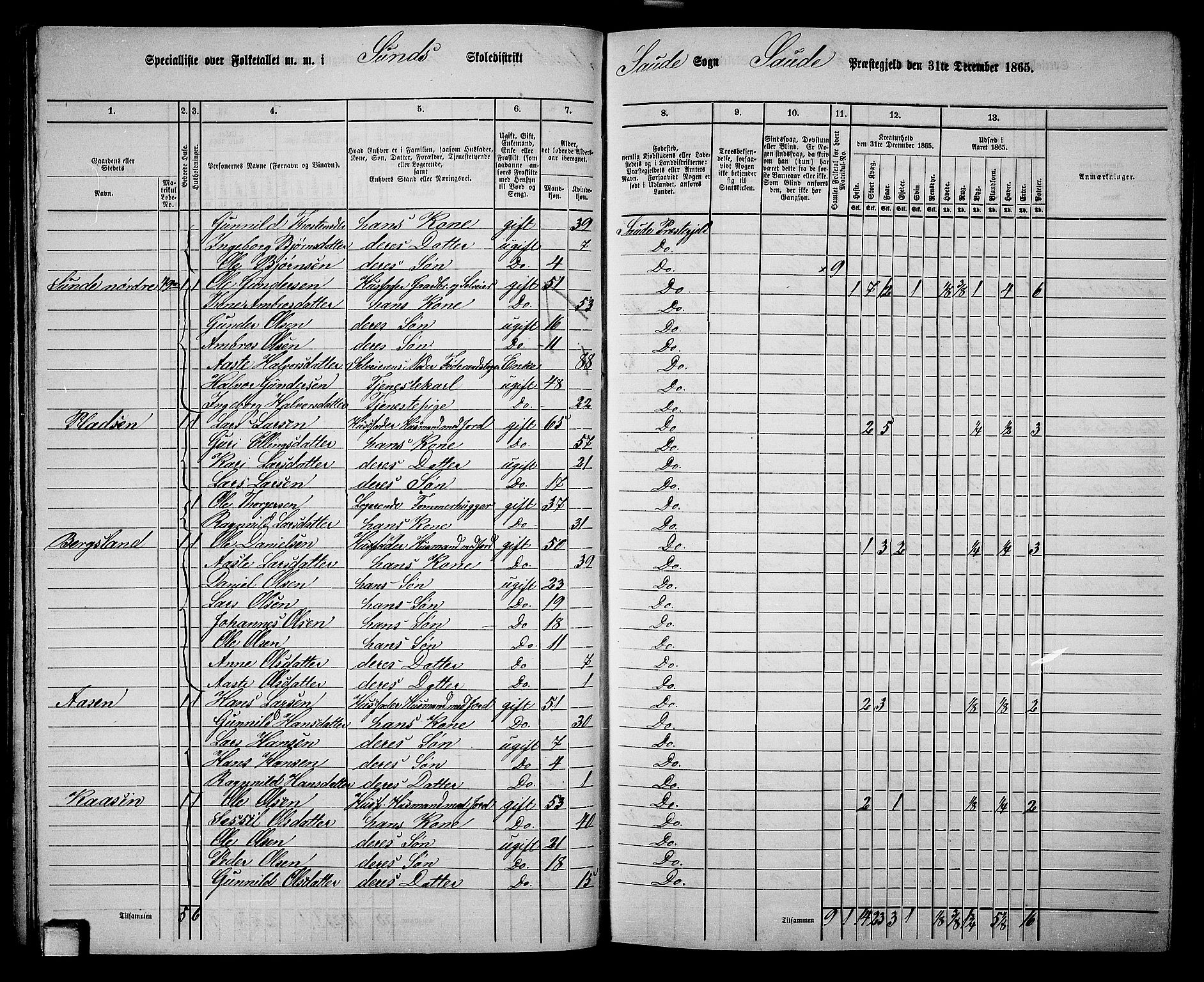 RA, 1865 census for Sauherad, 1865, p. 47