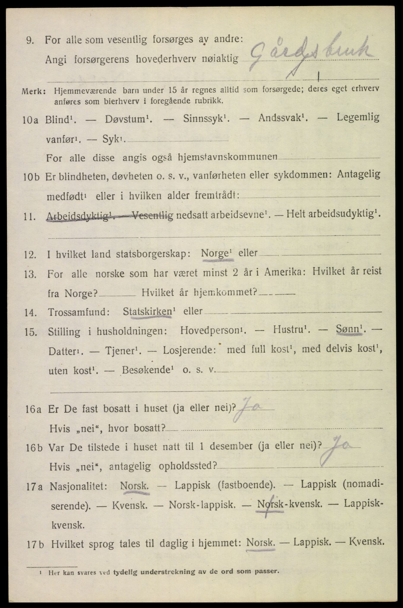 SAT, 1920 census for Borge, 1920, p. 8024