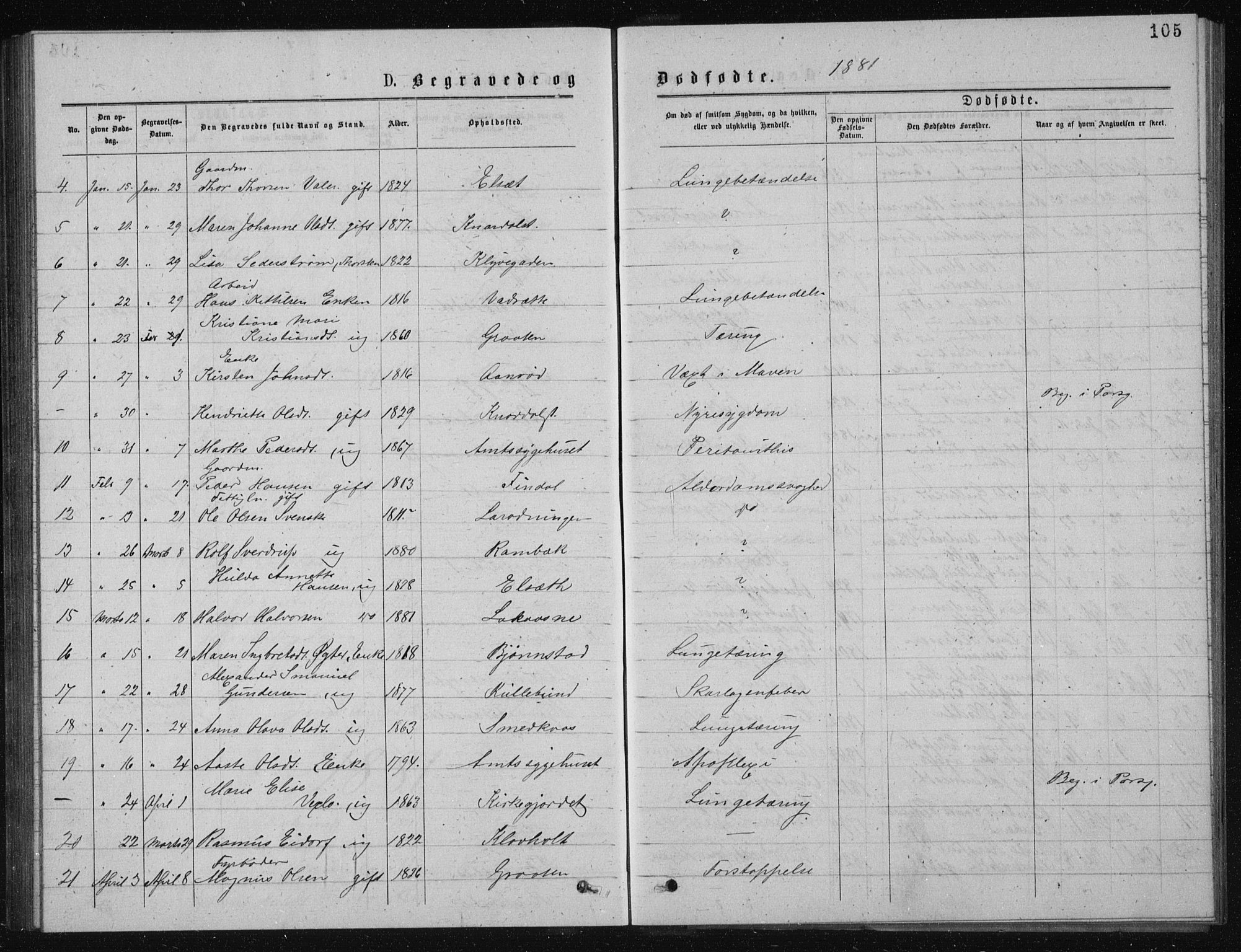 Solum kirkebøker, SAKO/A-306/G/Ga/L0005: Parish register (copy) no. I 5, 1877-1881, p. 105