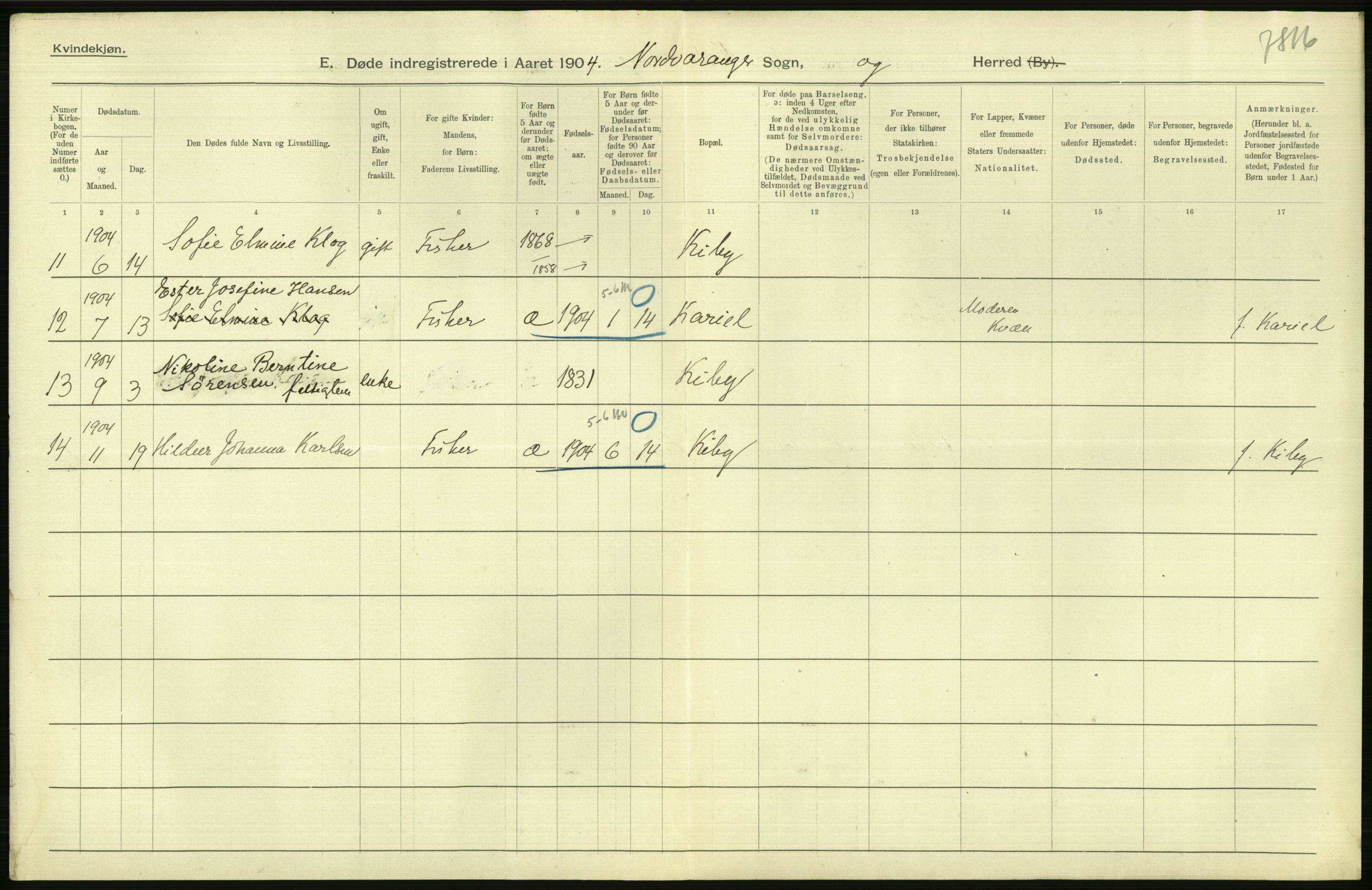 Statistisk sentralbyrå, Sosiodemografiske emner, Befolkning, AV/RA-S-2228/D/Df/Dfa/Dfab/L0023: Finnmarkens amt: Fødte, gifte, døde, 1904, p. 262